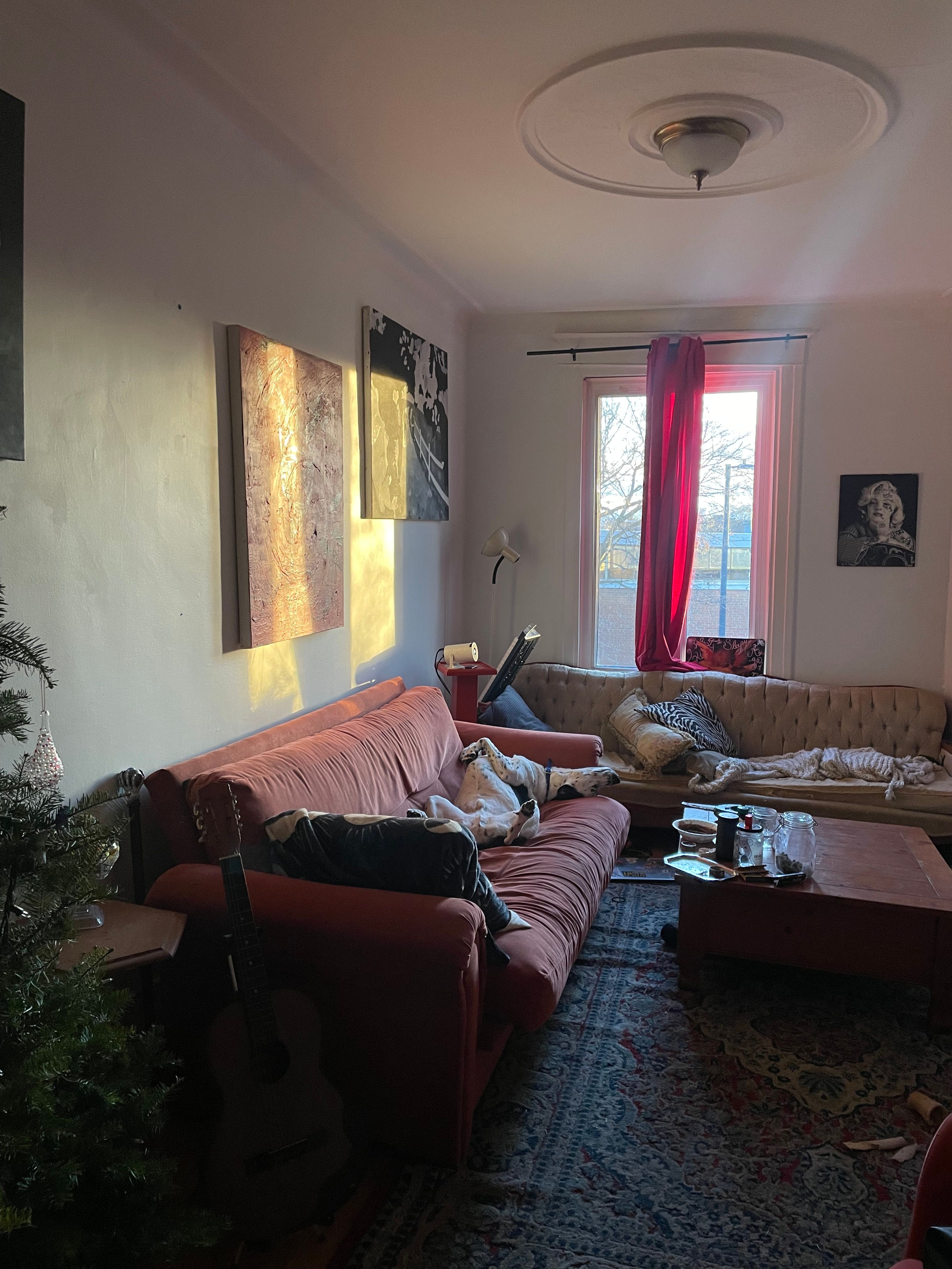 image-18