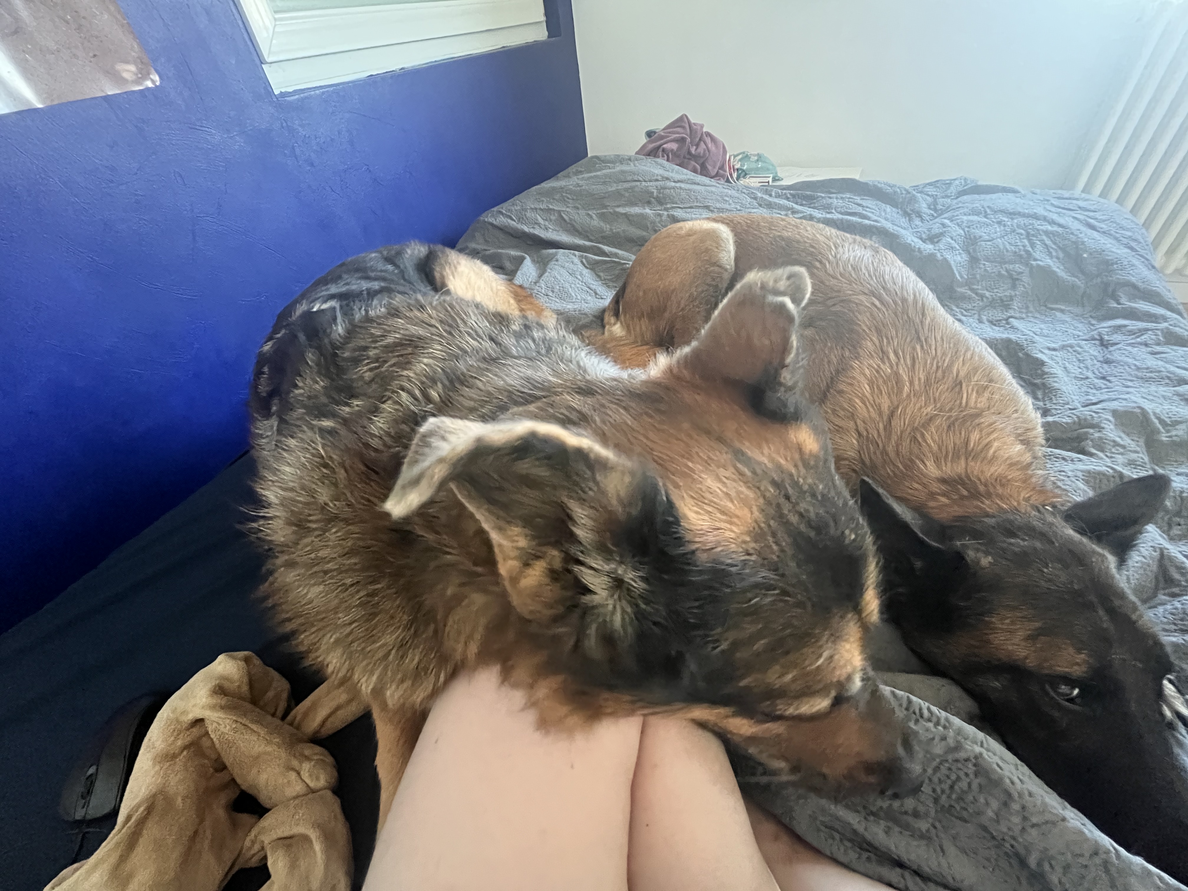 image-8
