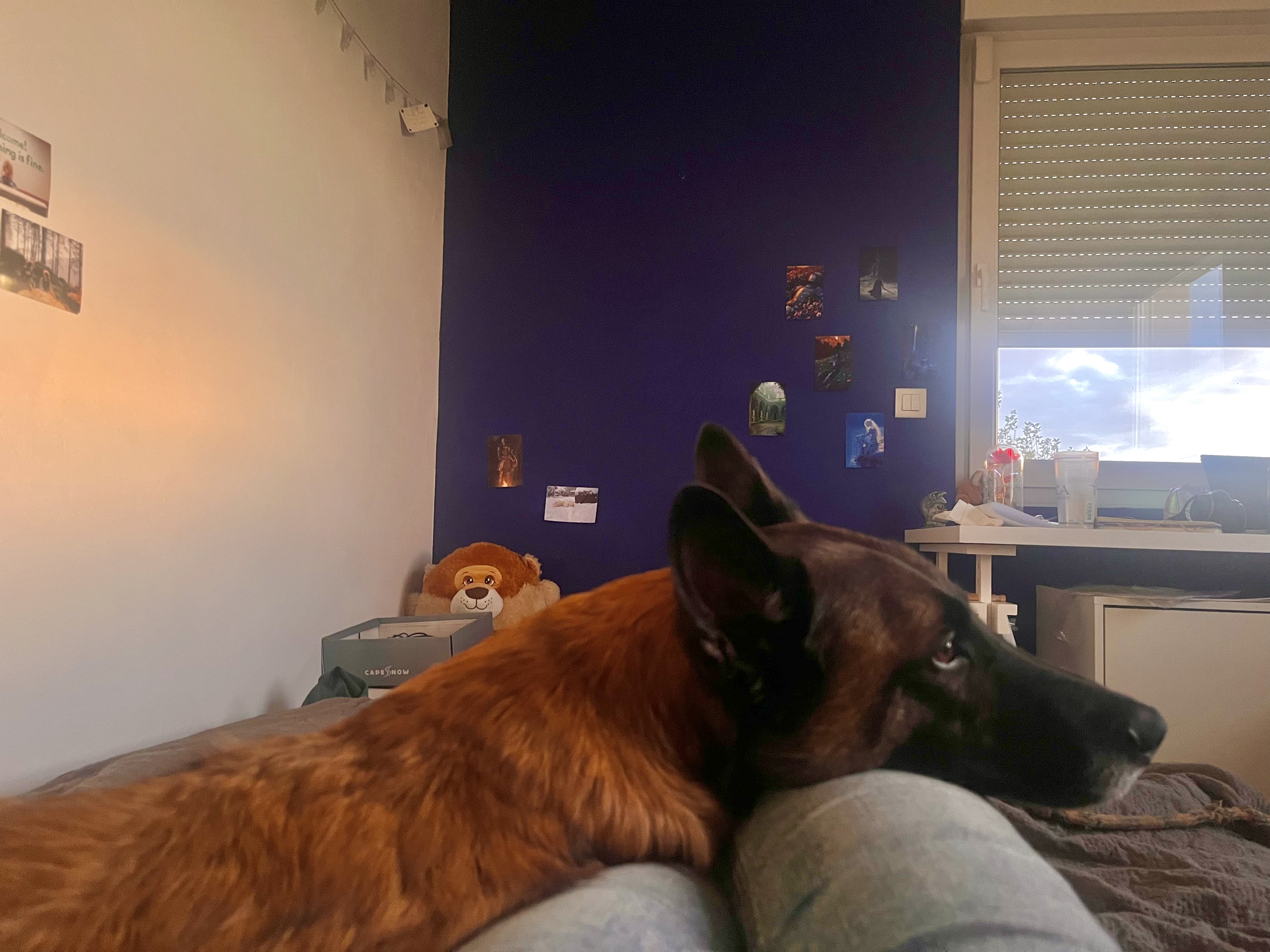 image-6