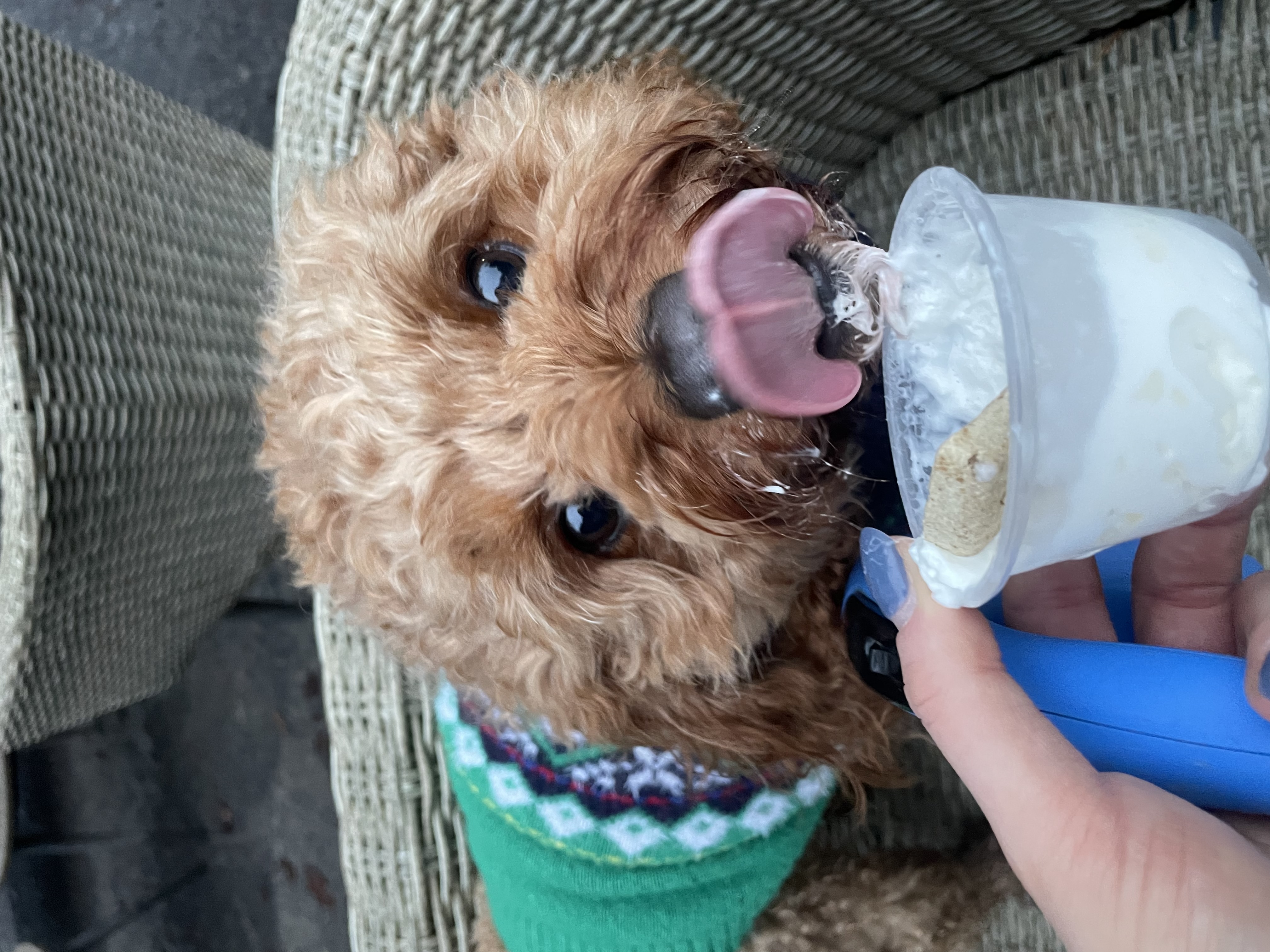 image-12
