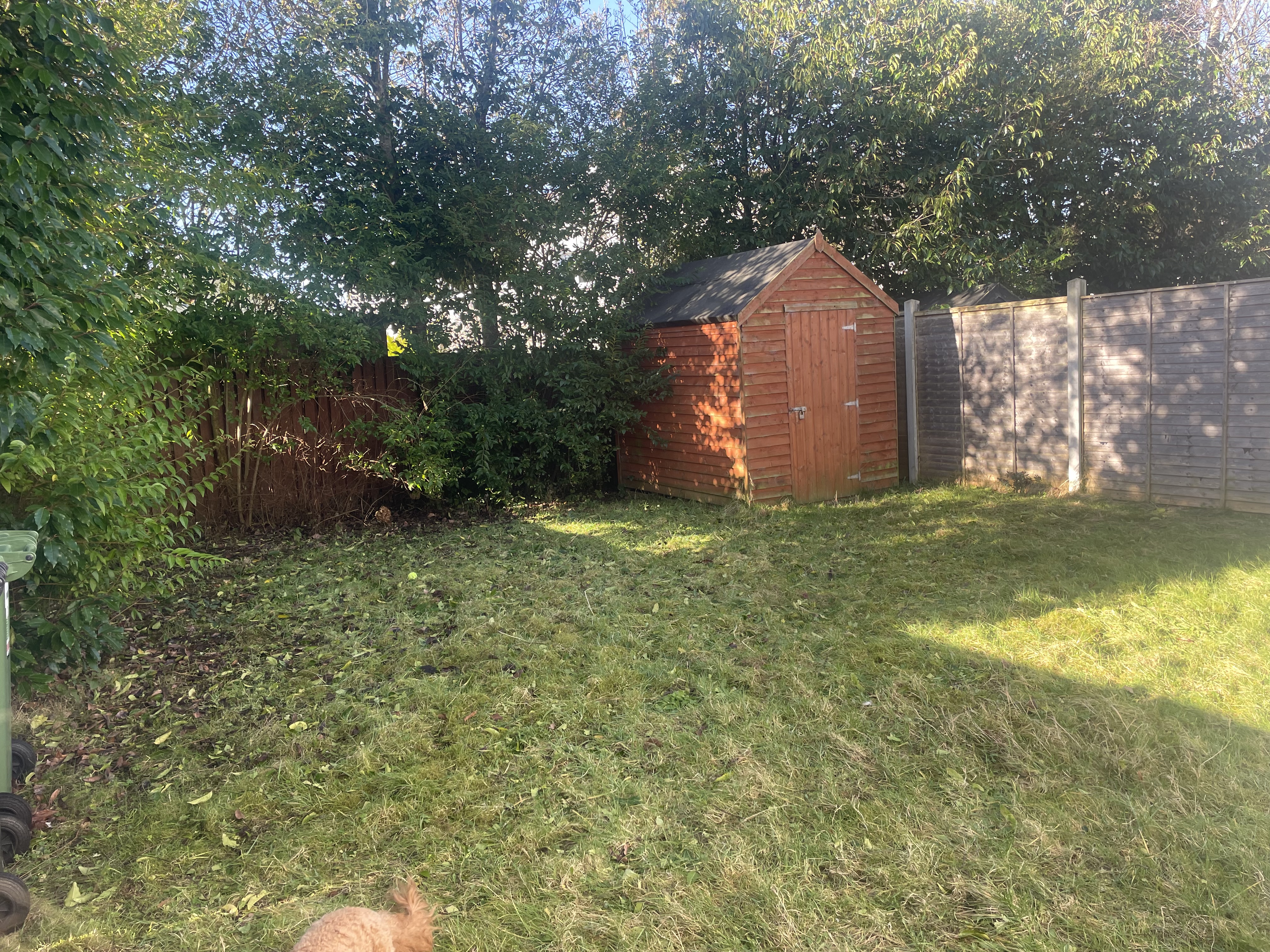 image-16