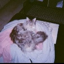 Kaïssy