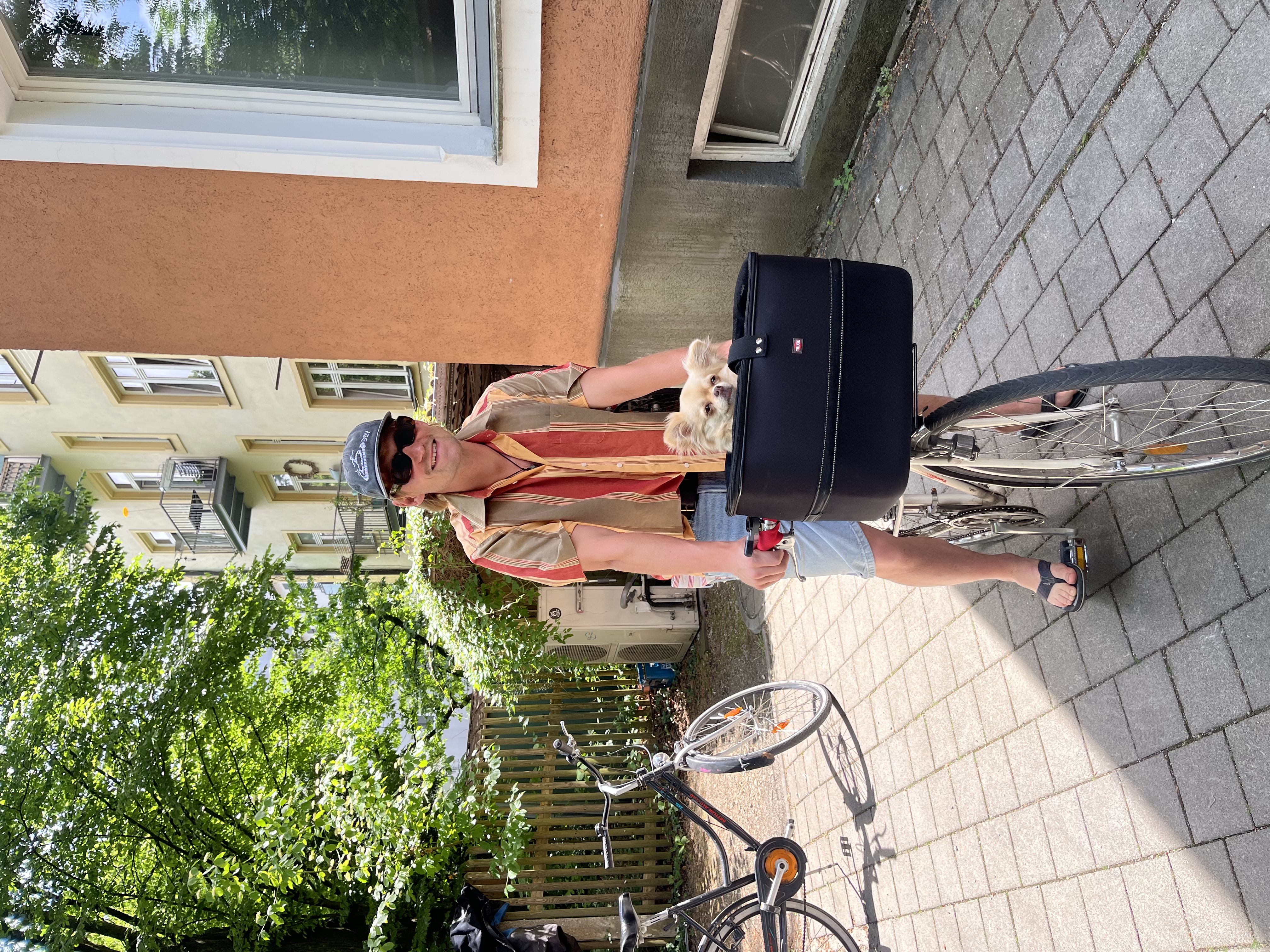 image-7