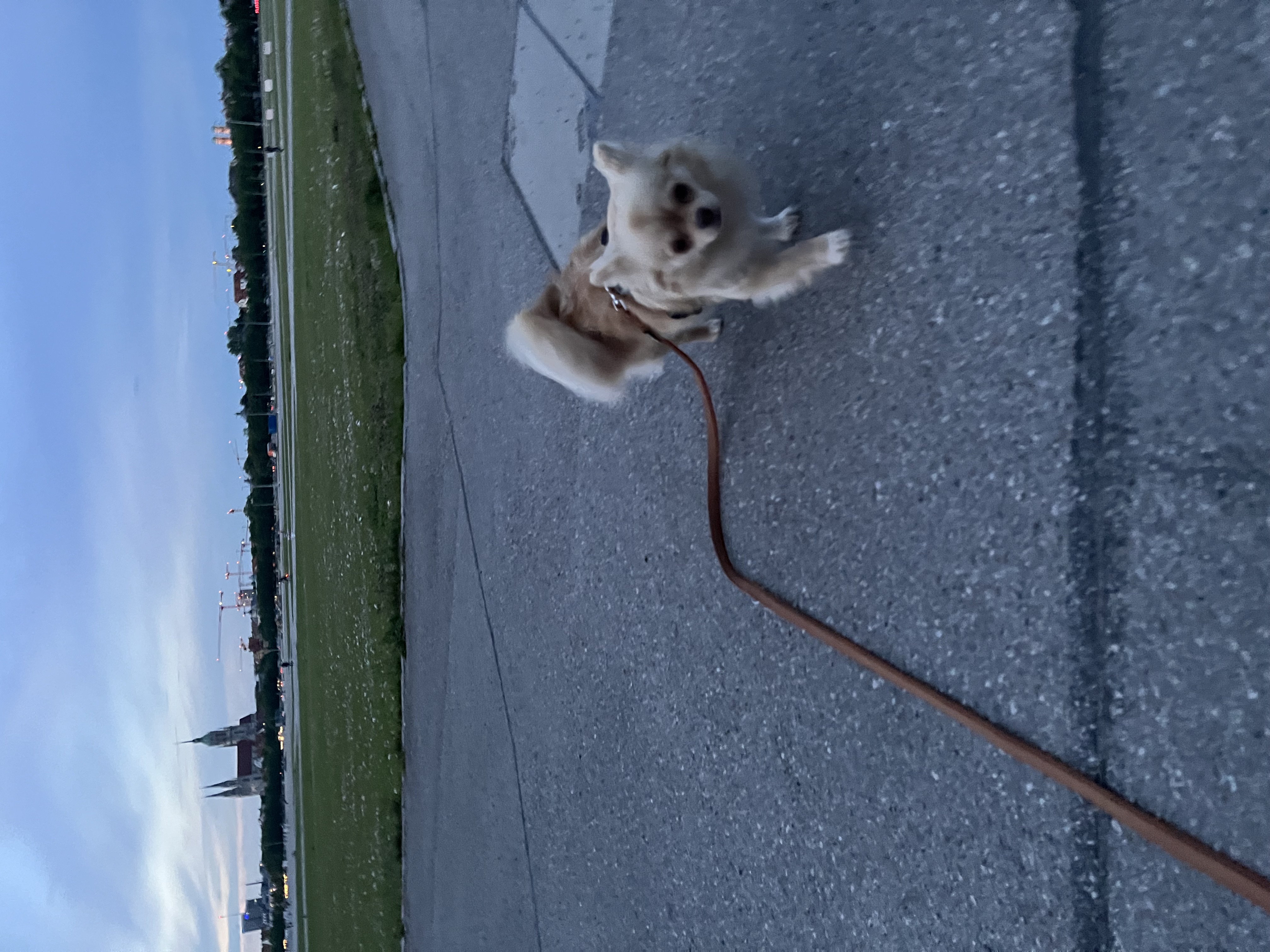 image-6