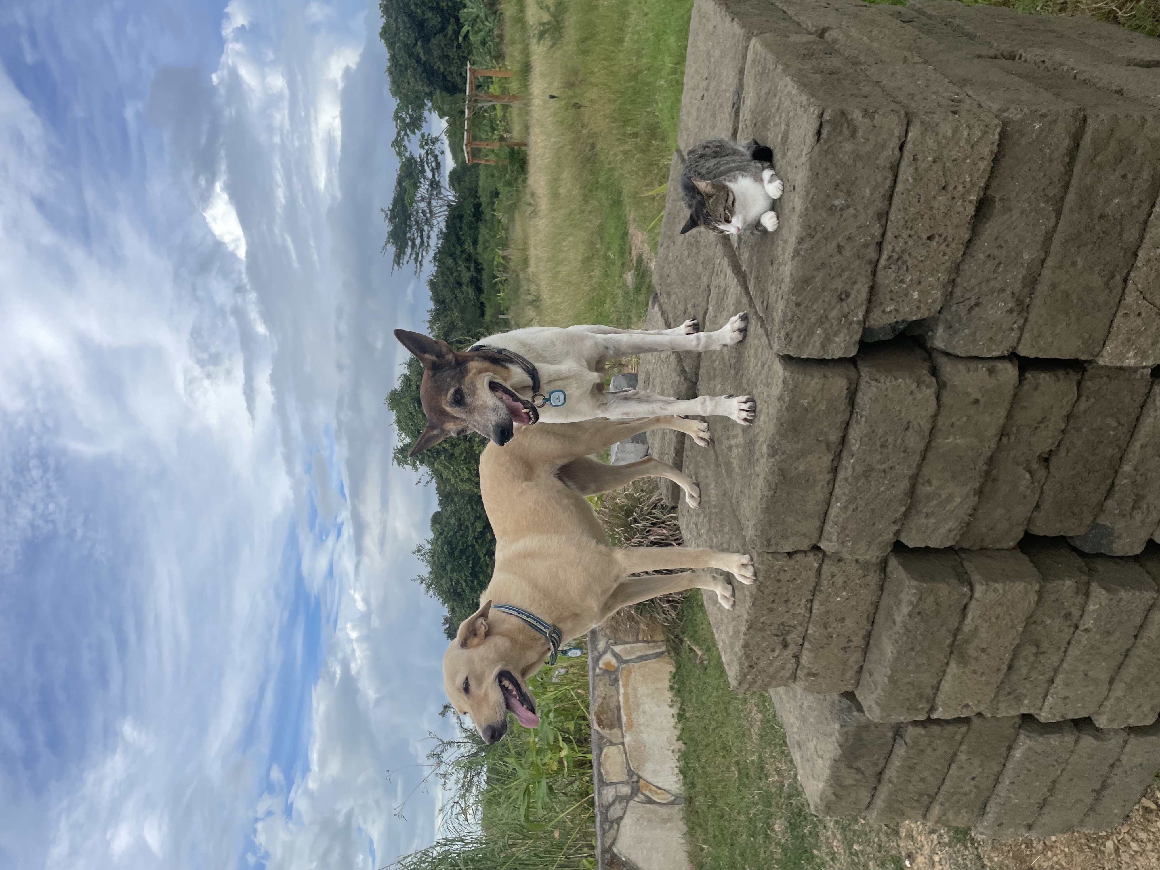 image-5