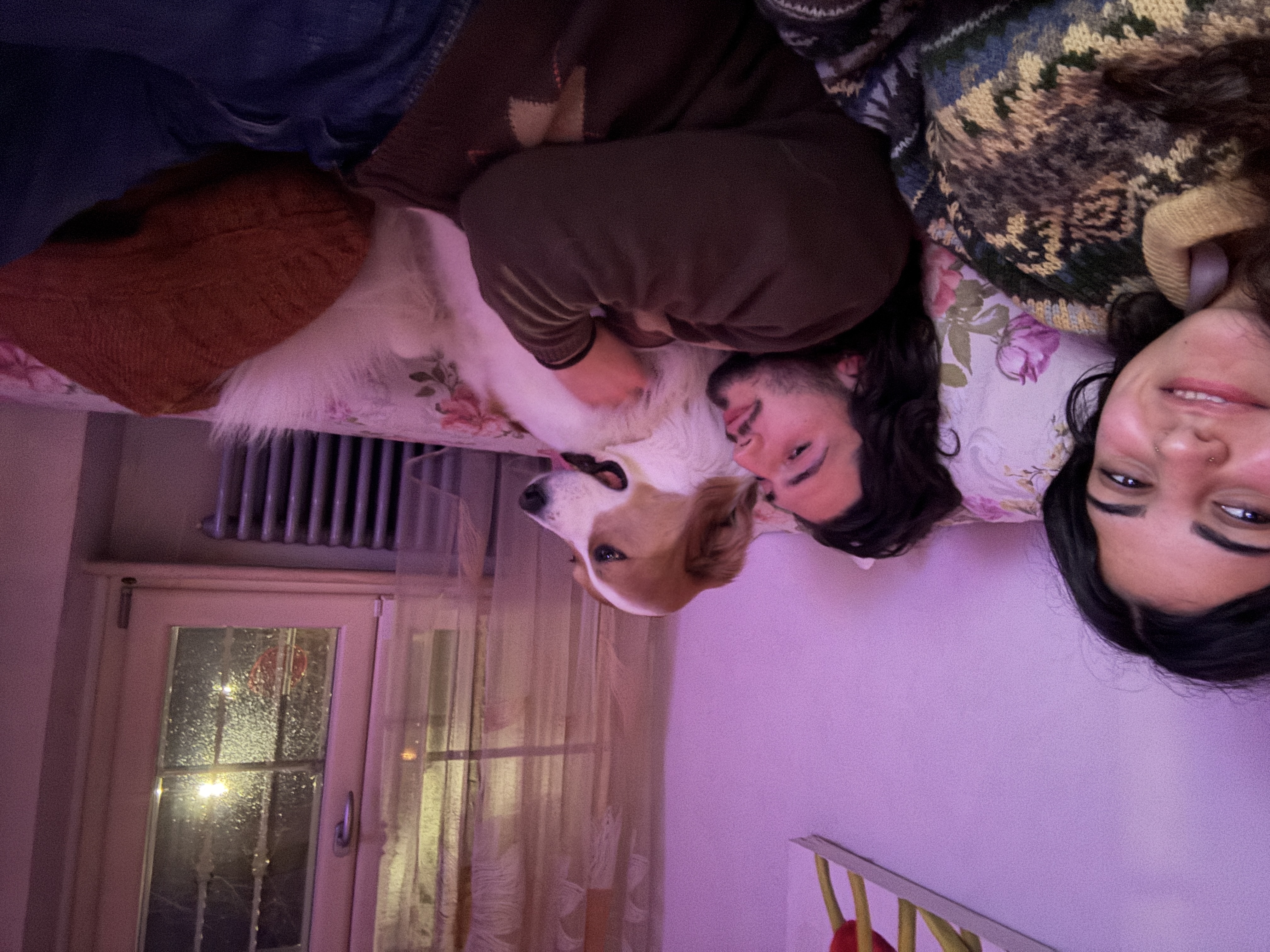 image-7