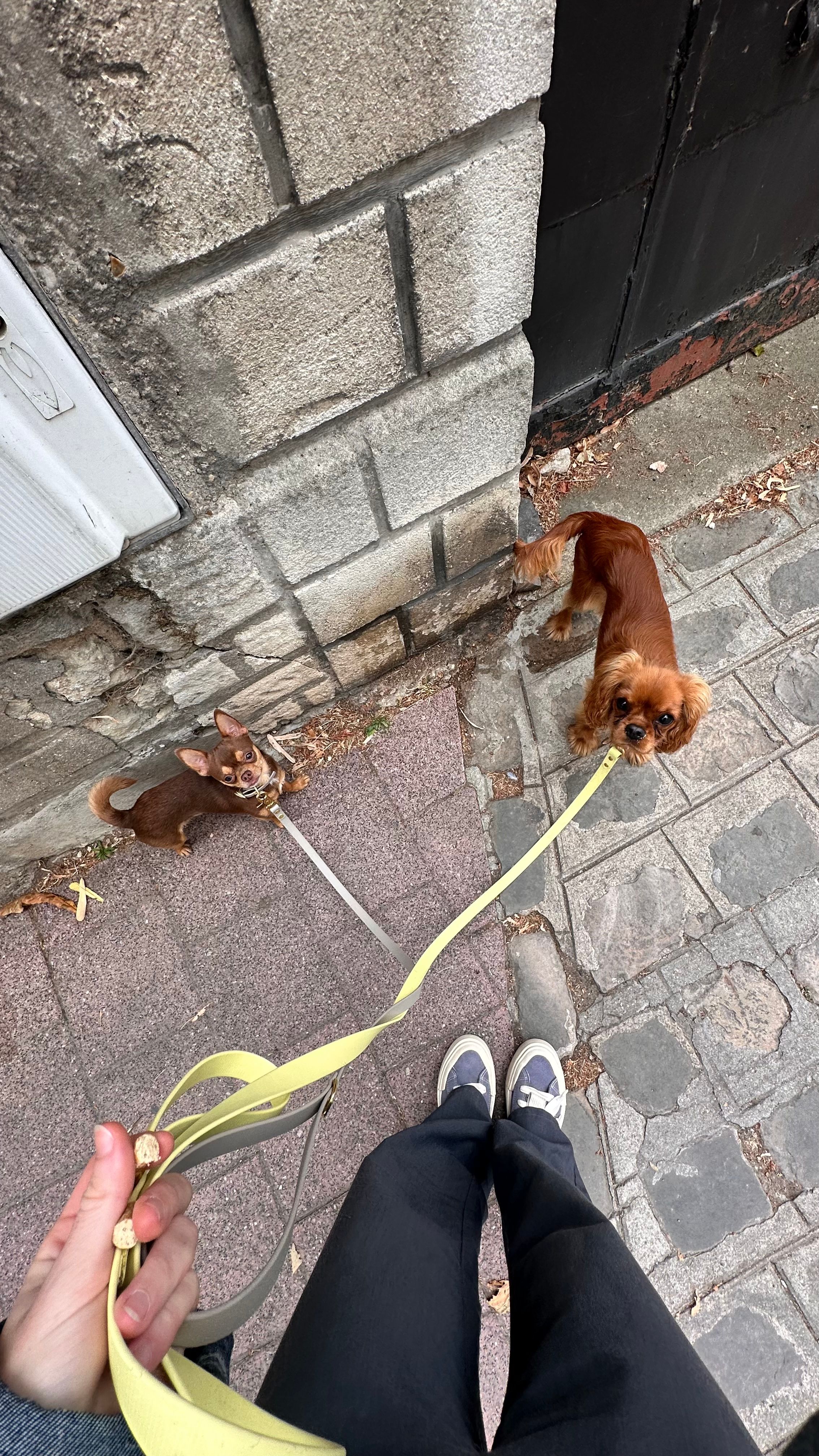 image-16
