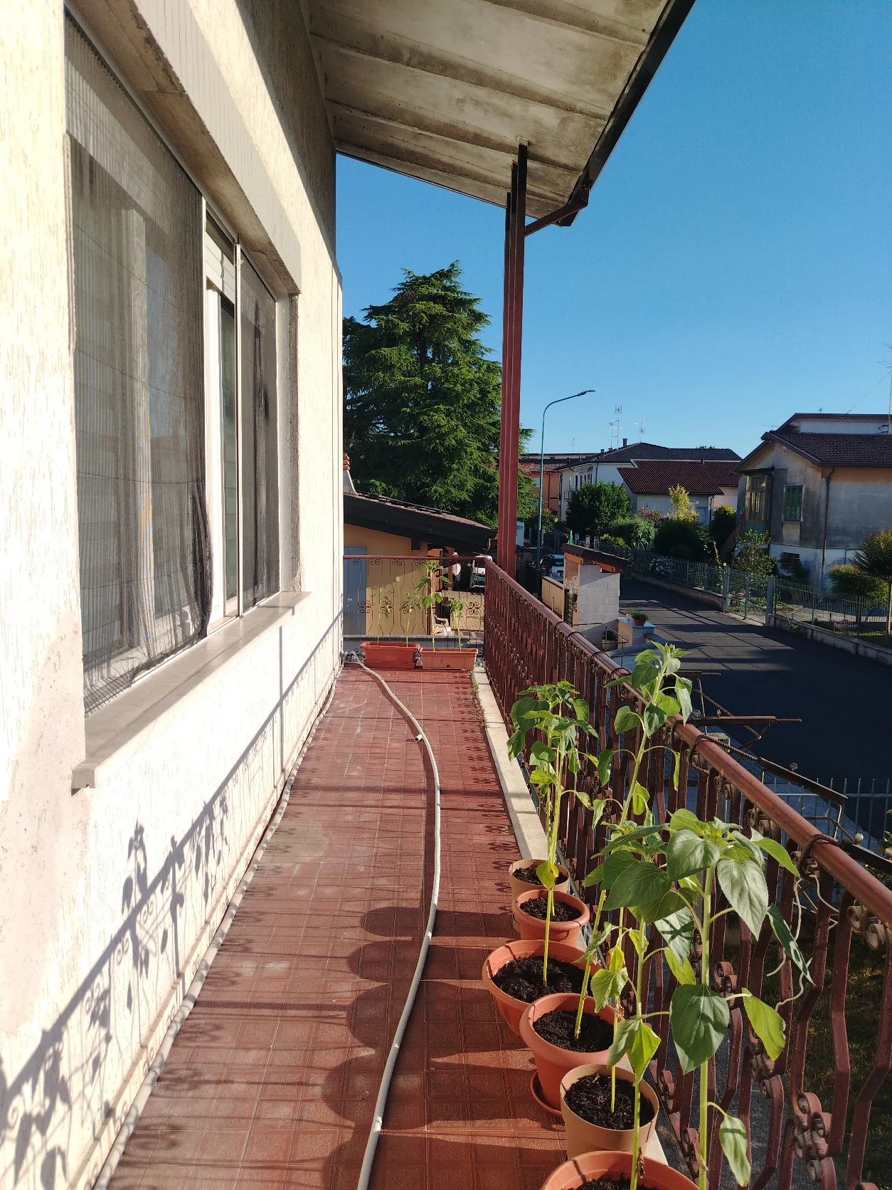 image-15