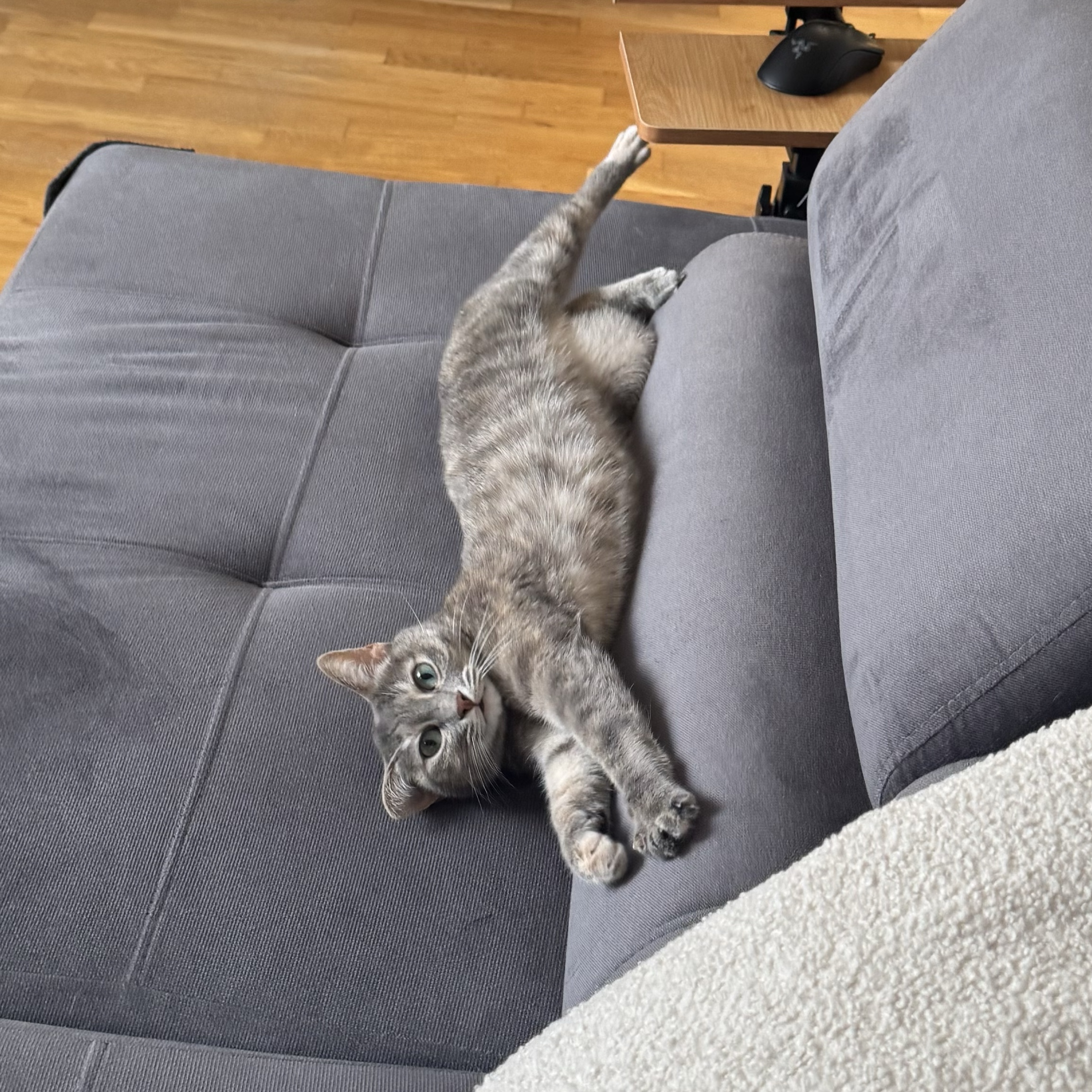 Luna