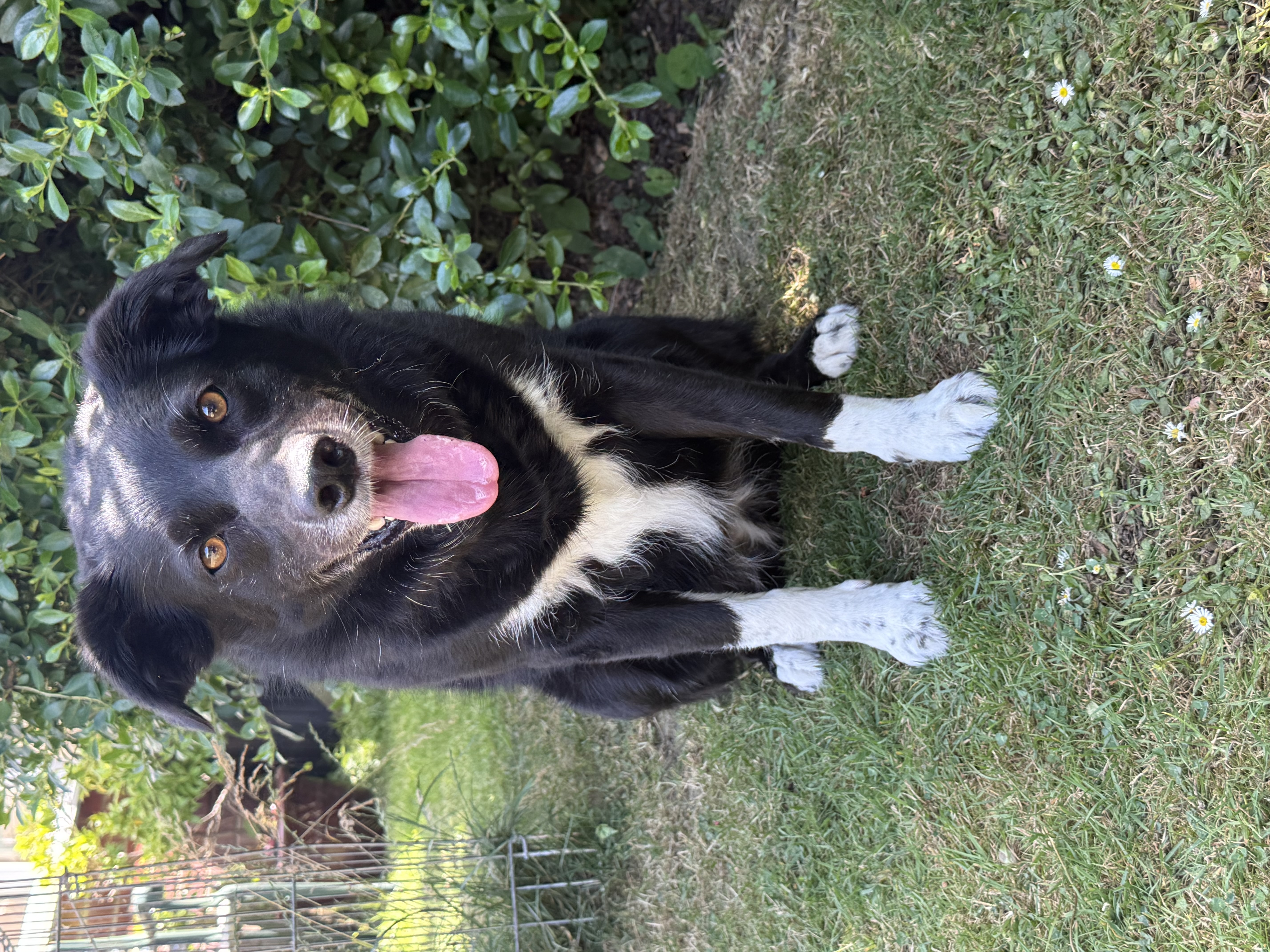 image-11