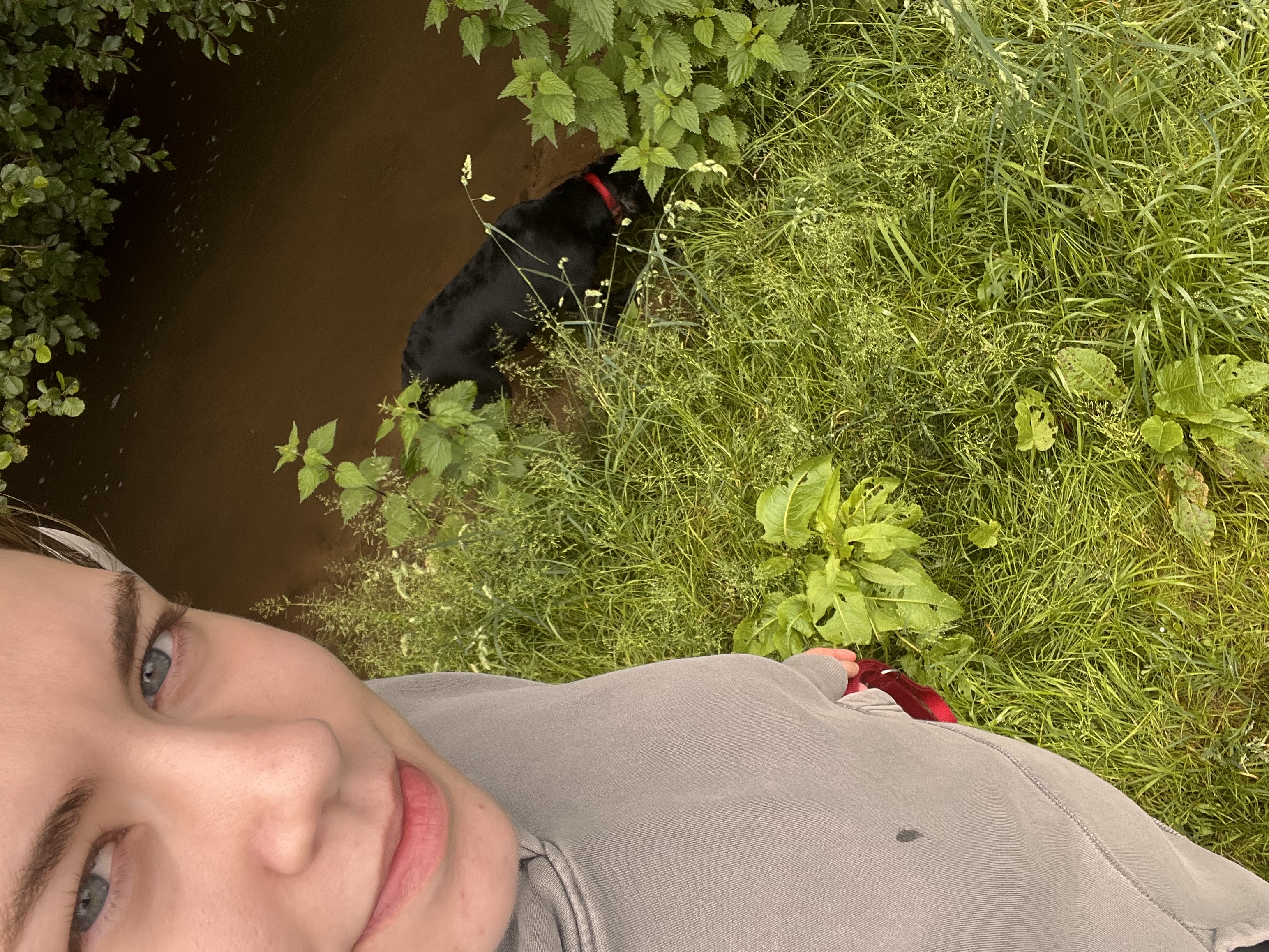 image-4