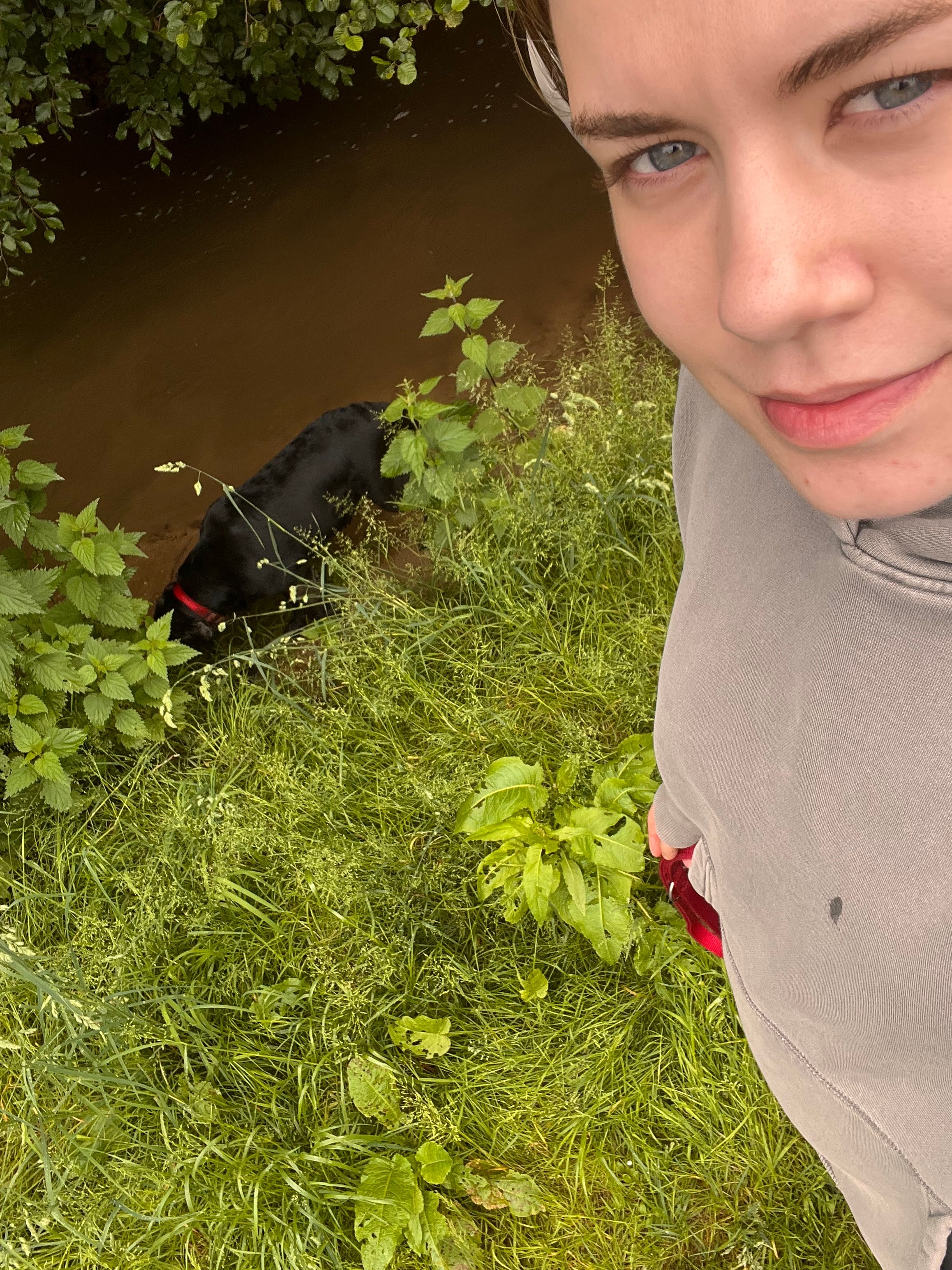 image-4