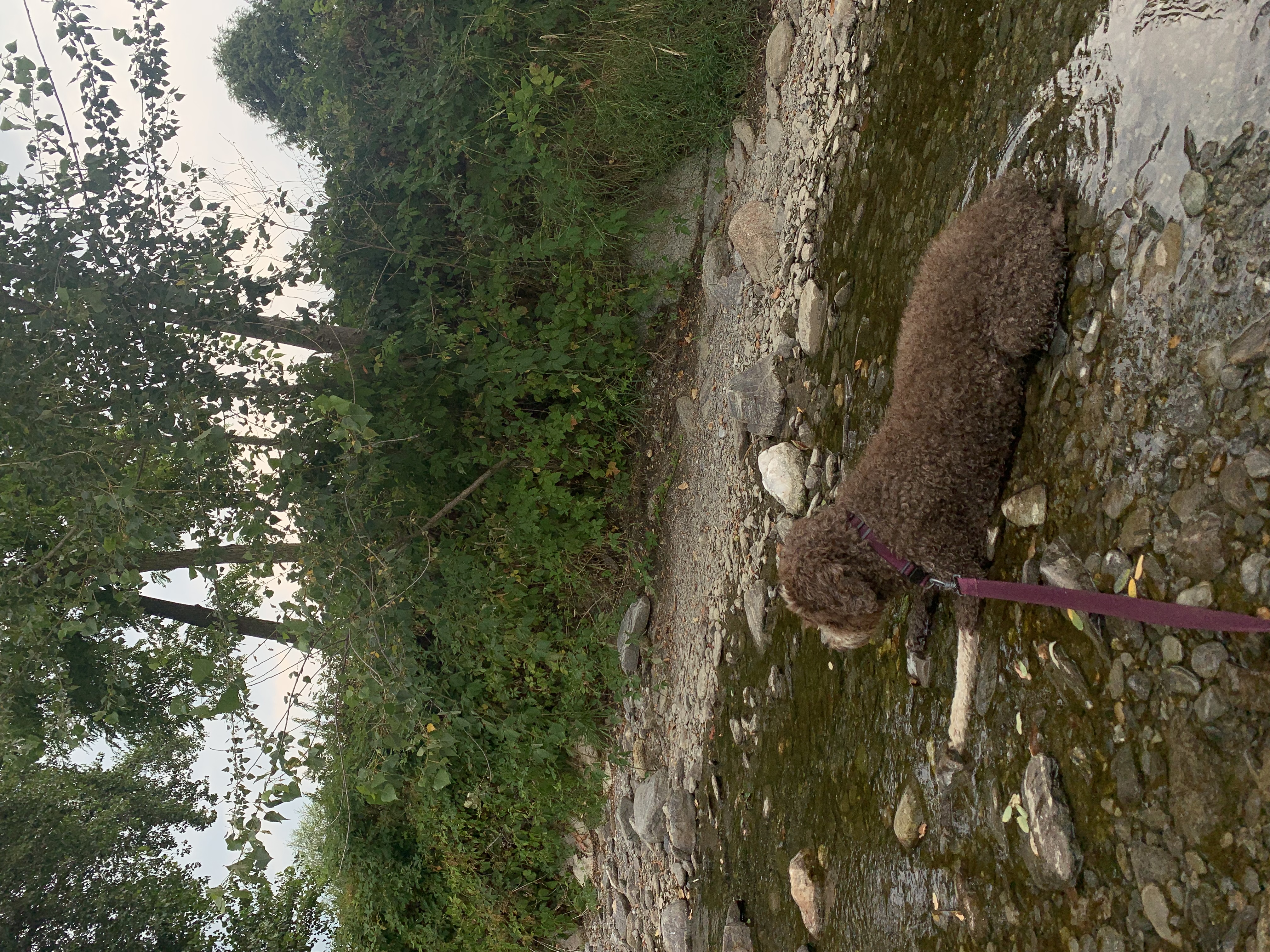 image-15