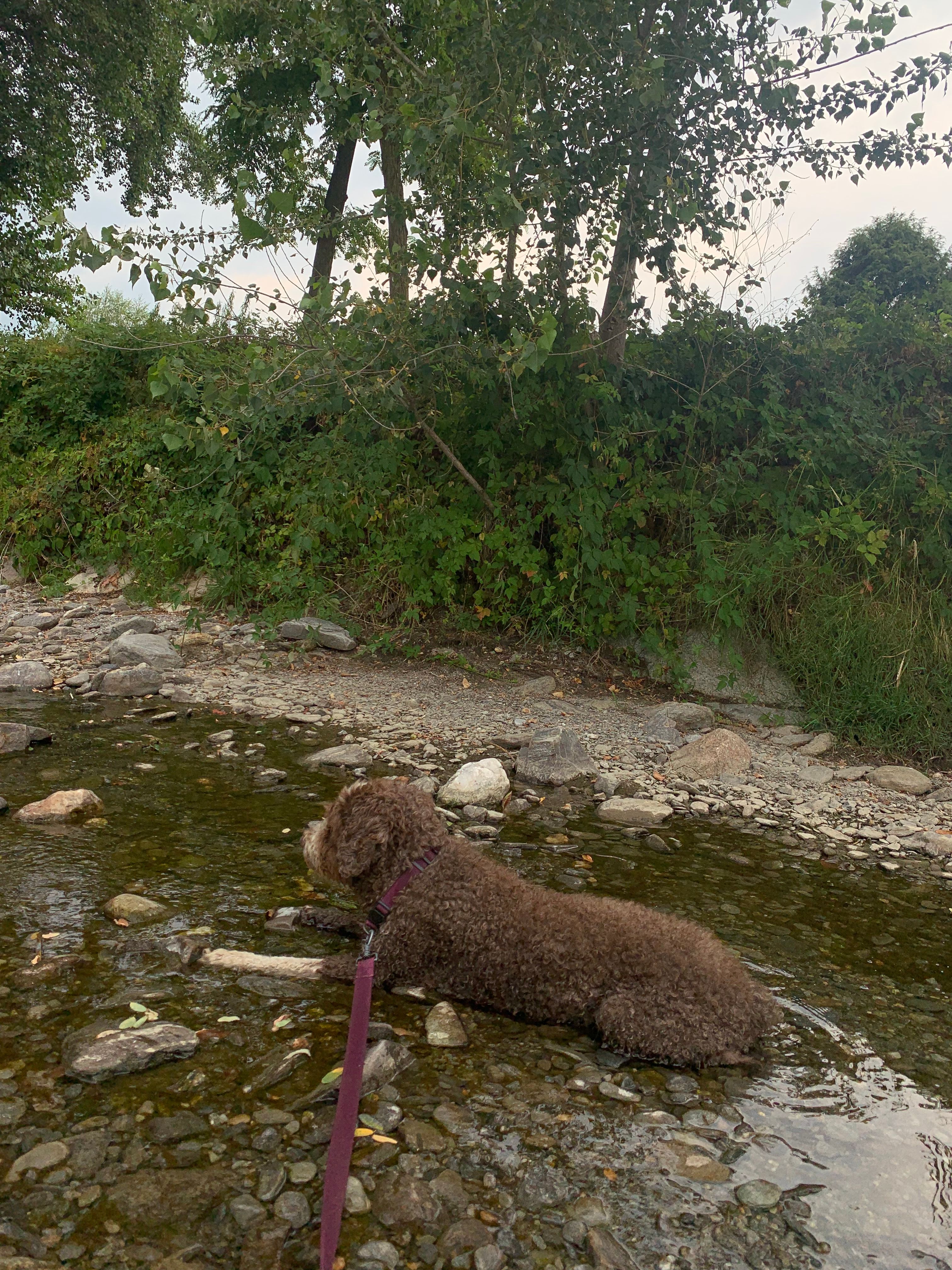image-15