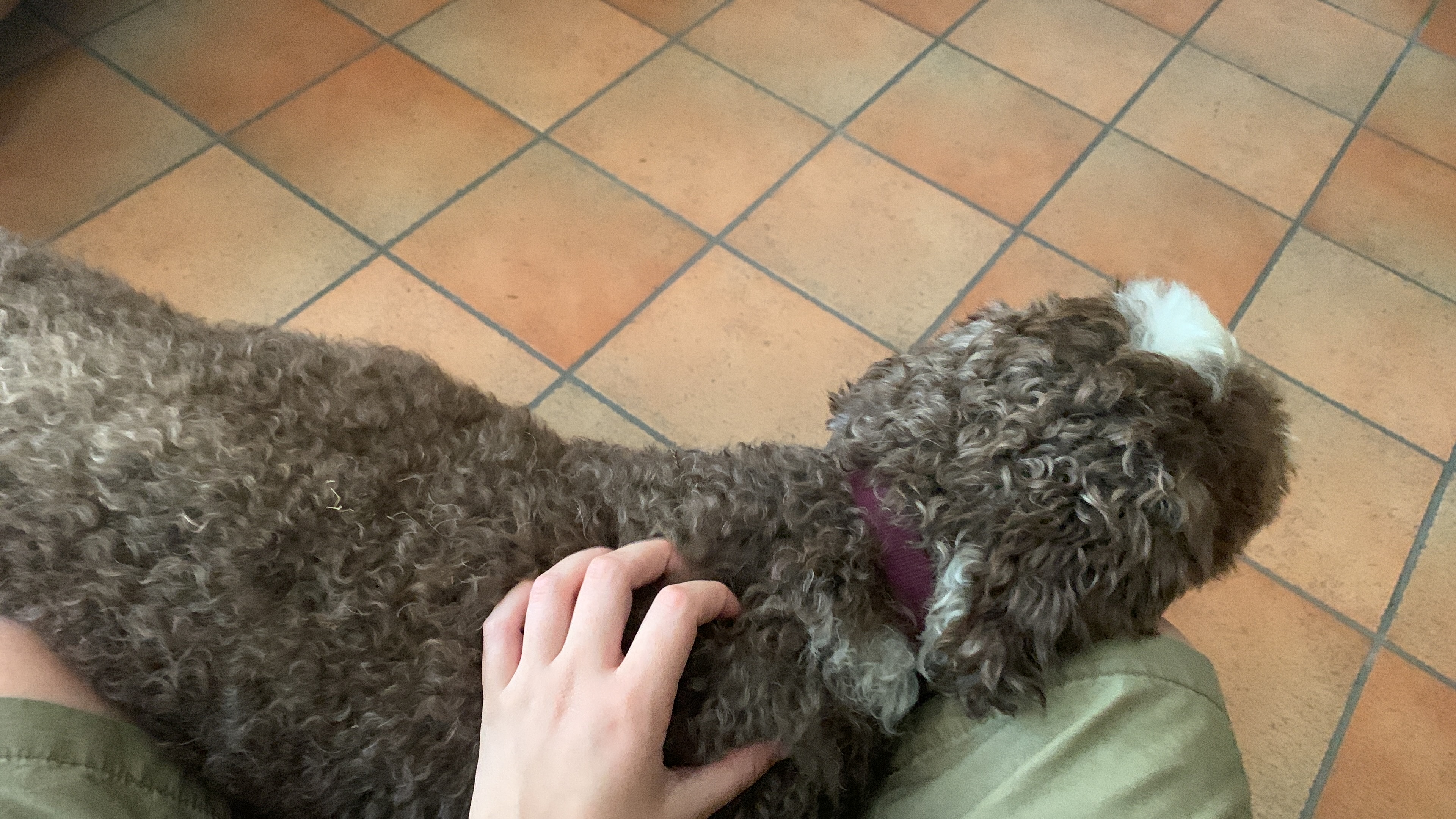 image-9