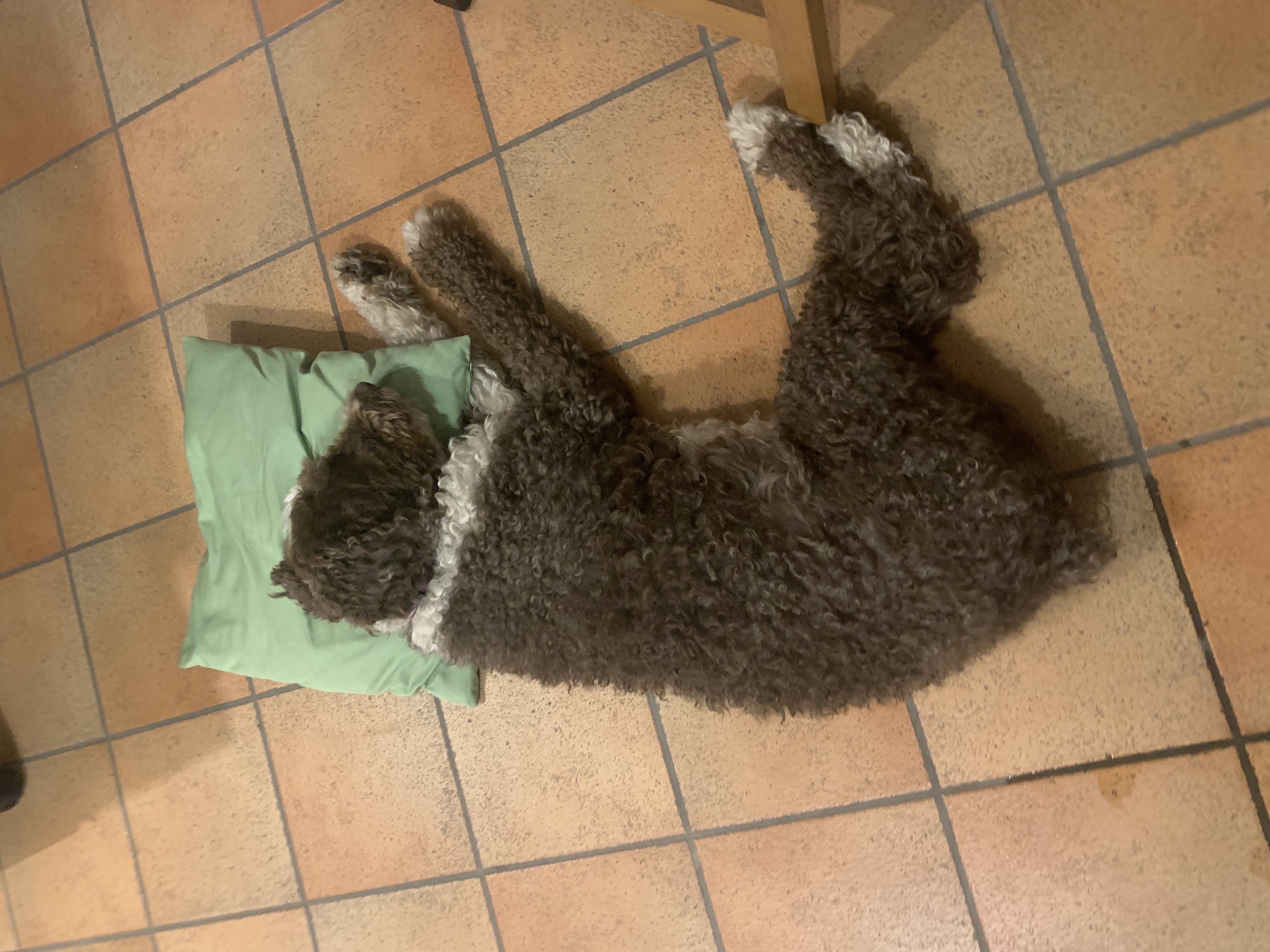 image-5