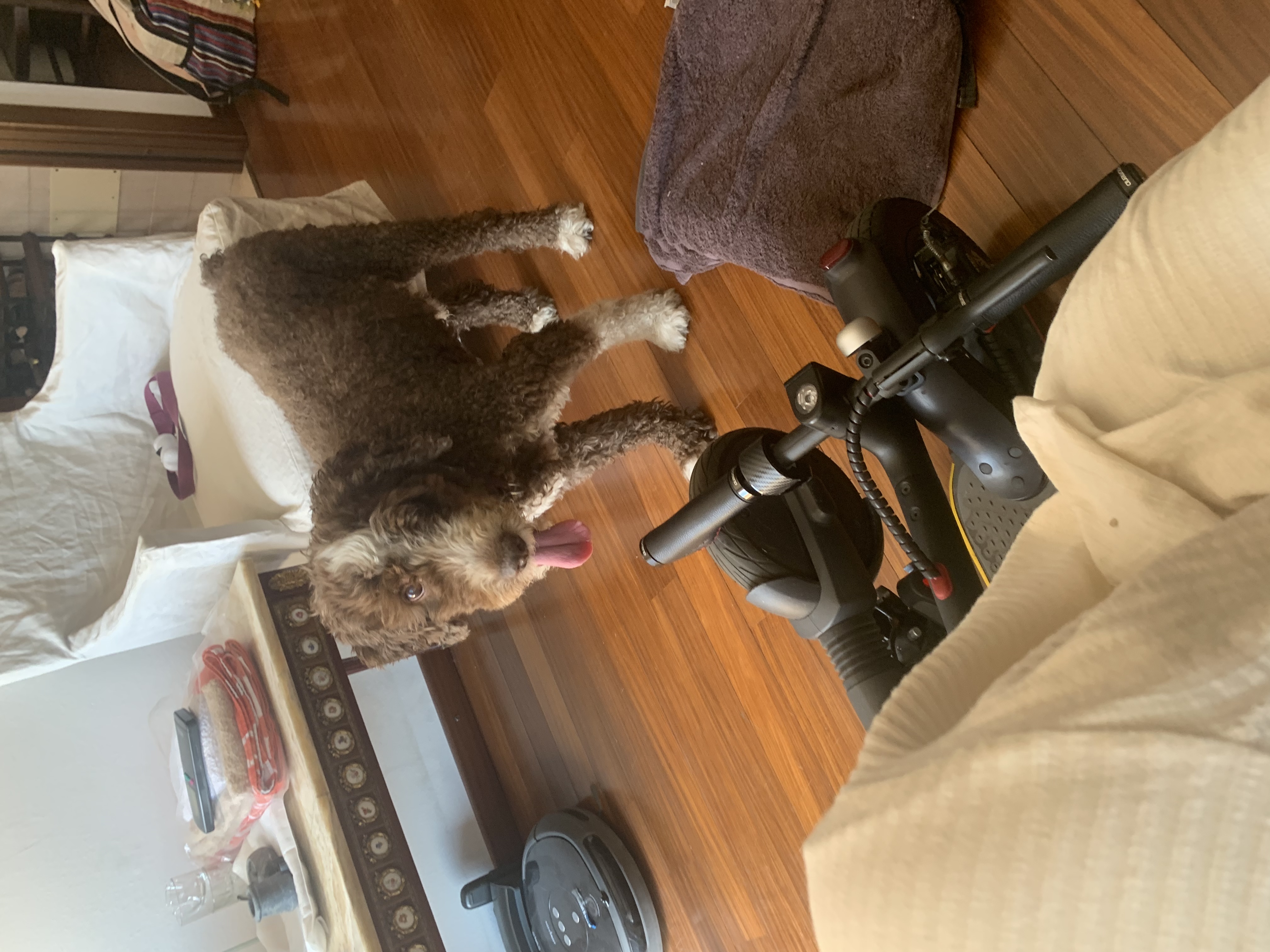 image-17