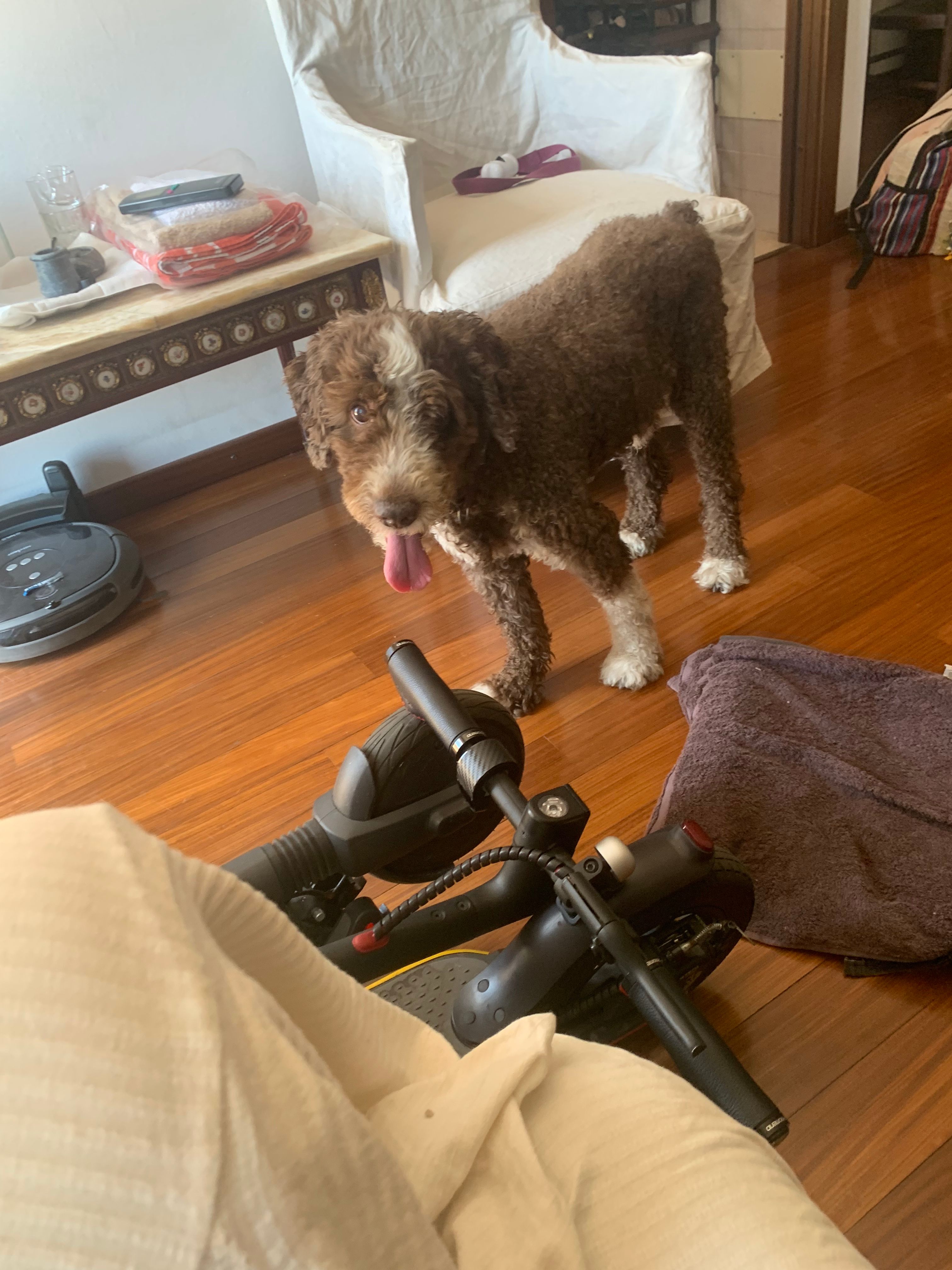image-17