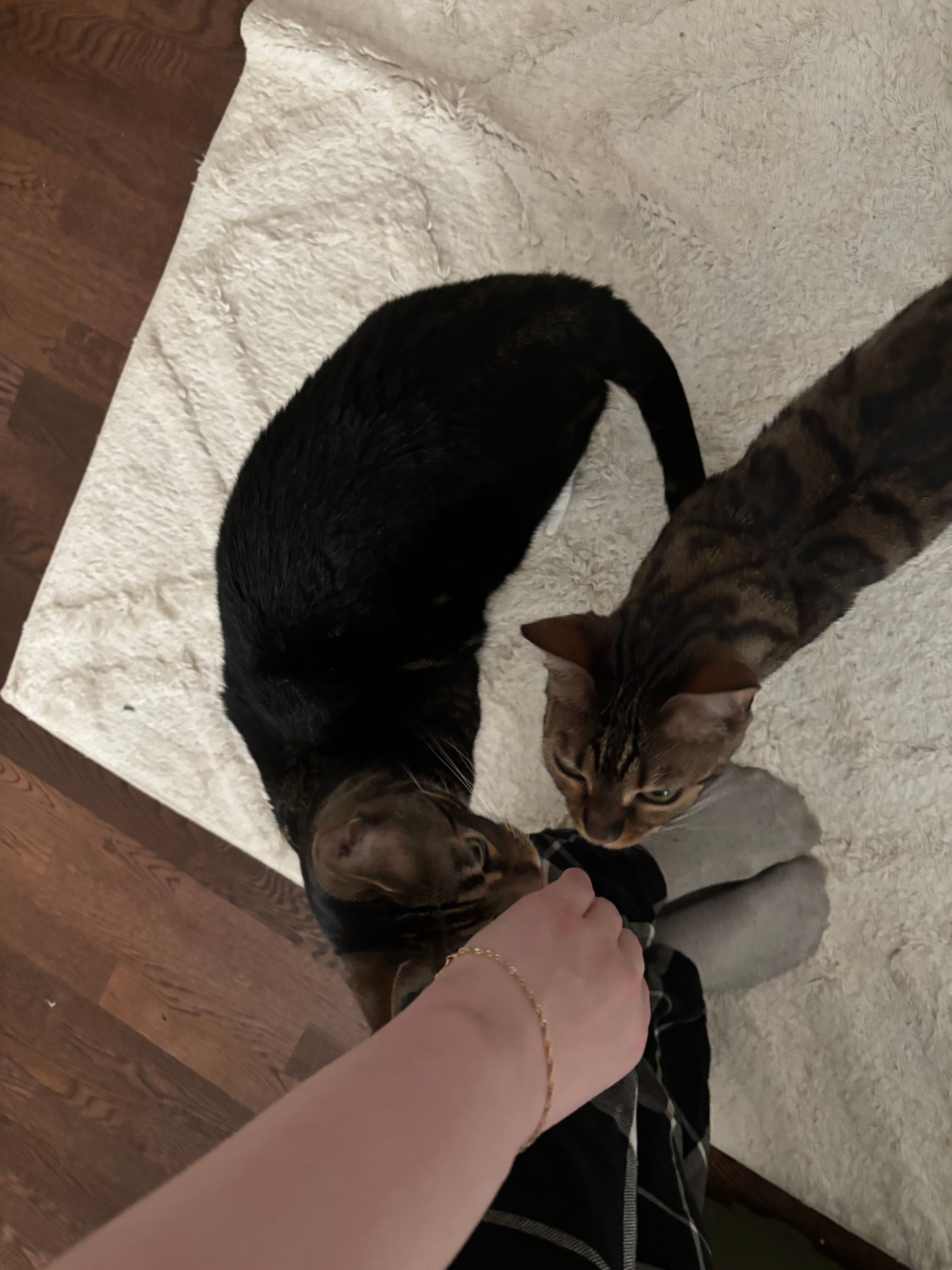 image-11