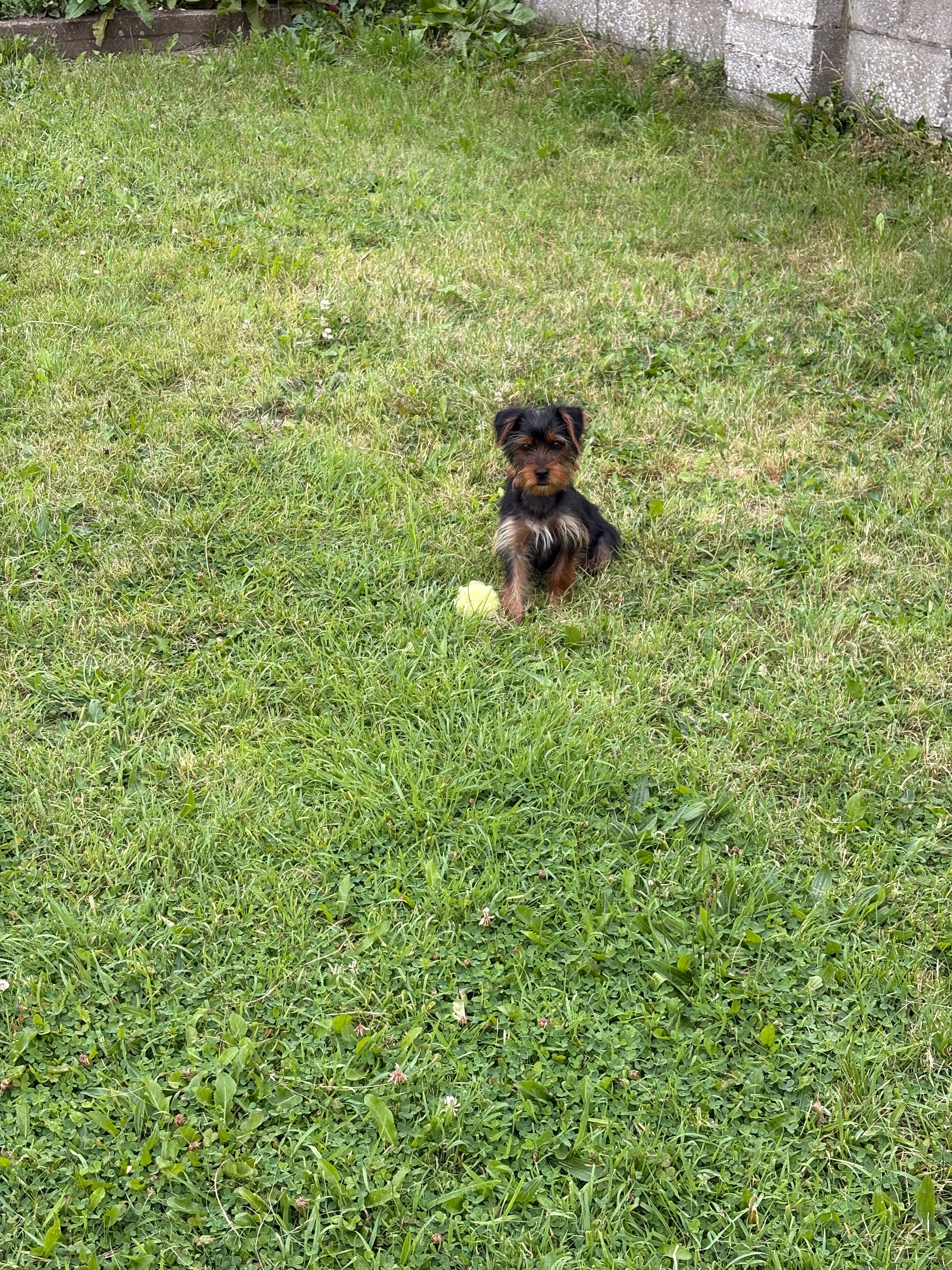 image-7