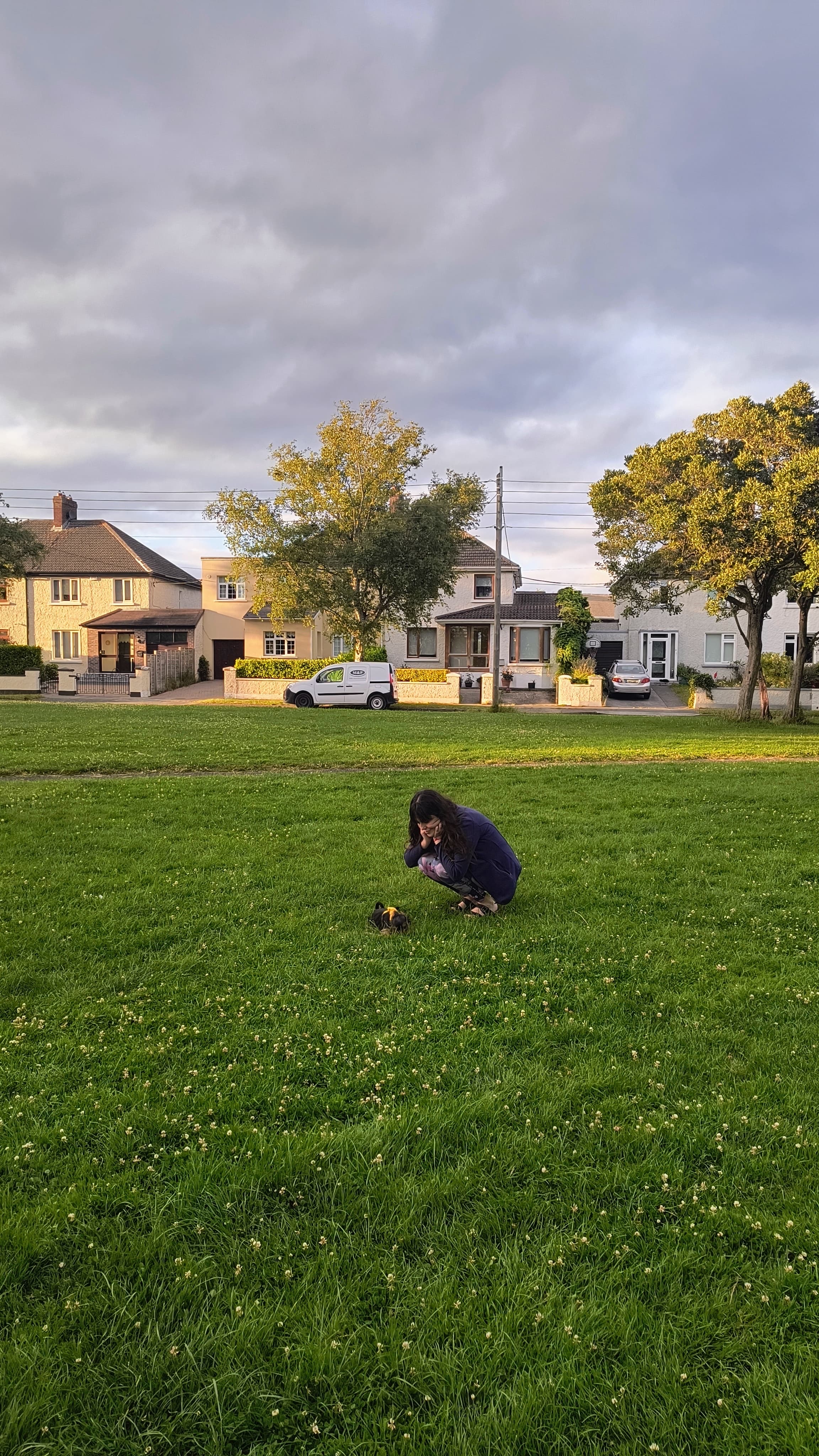 image-8