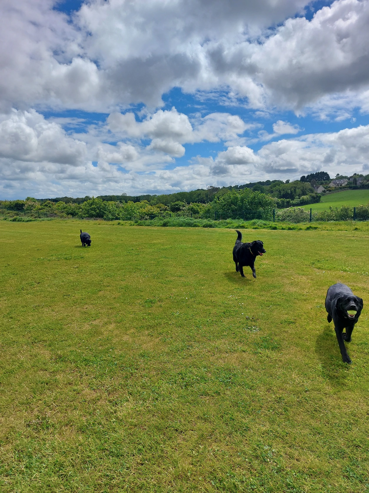 image-22