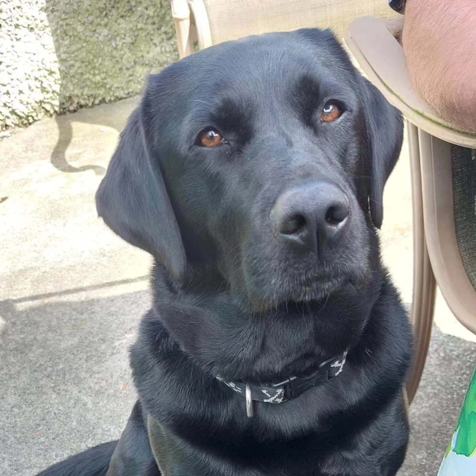 Max