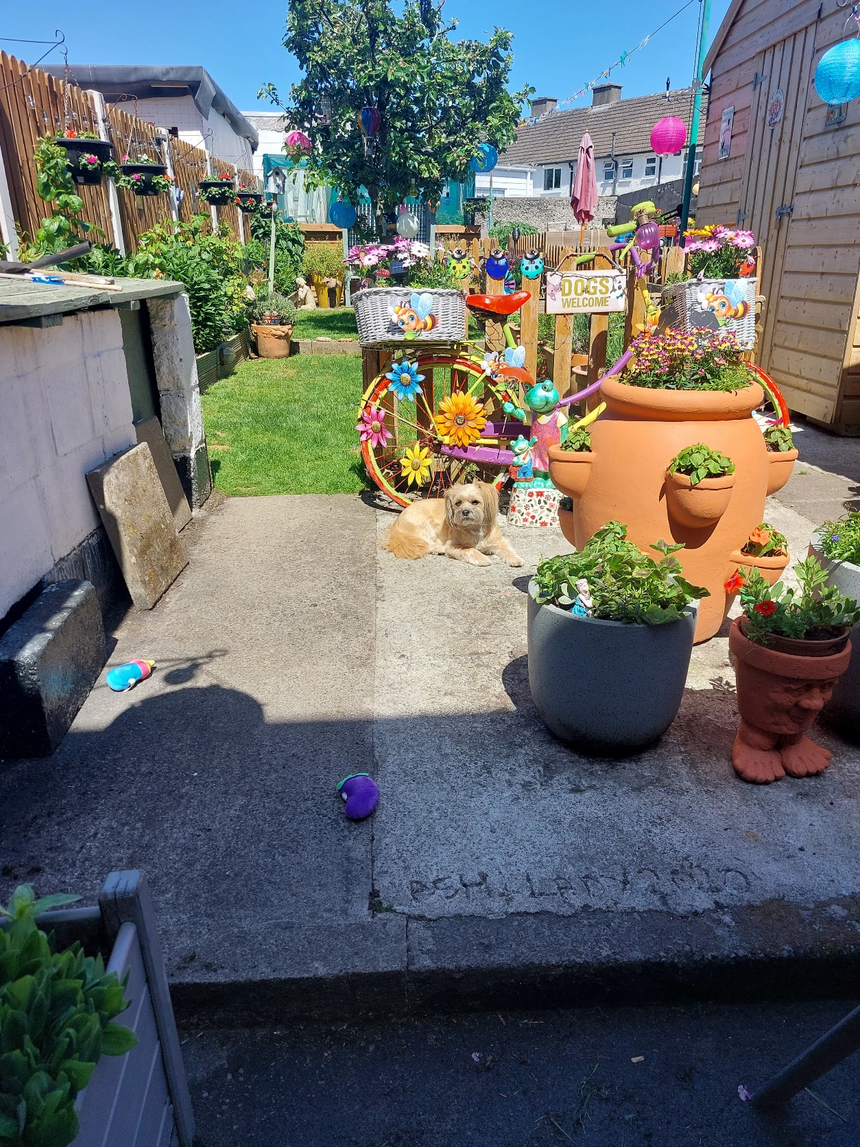 image-5