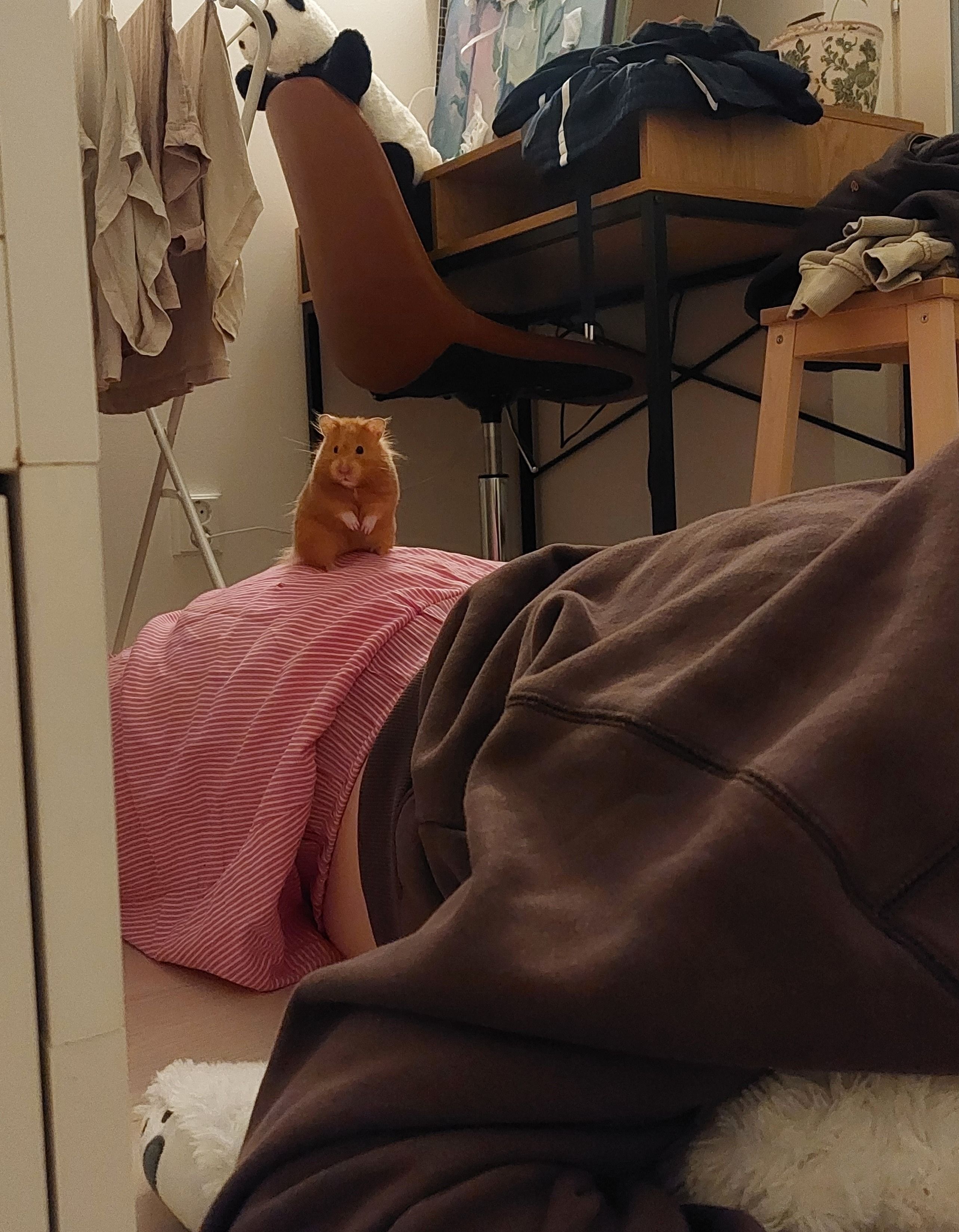 image-6