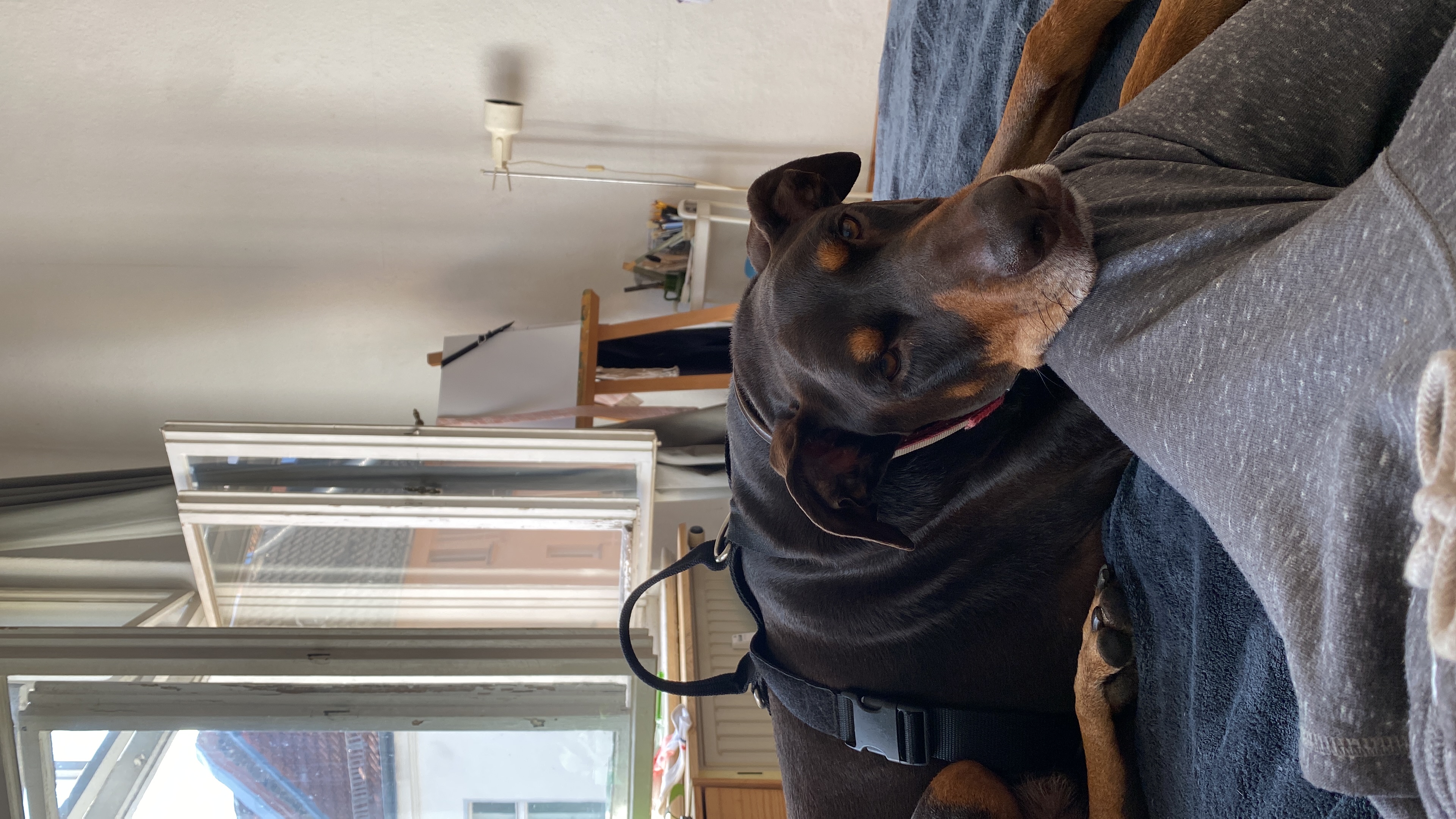 image-19