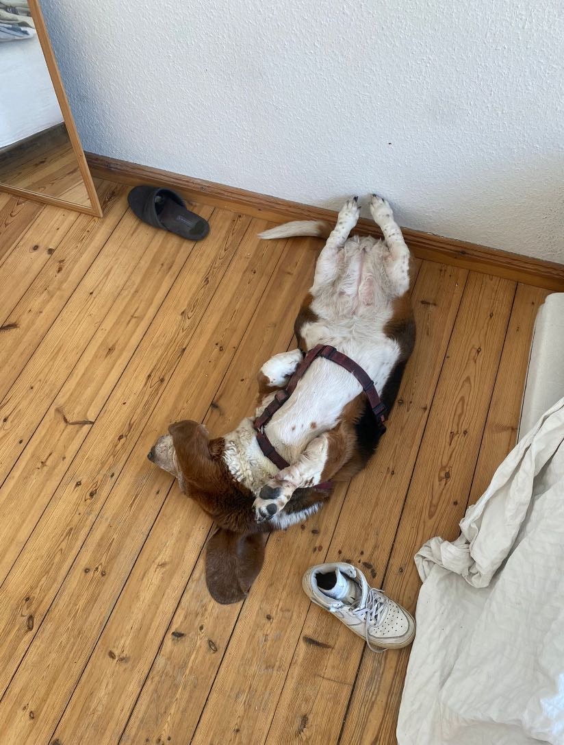 image-16