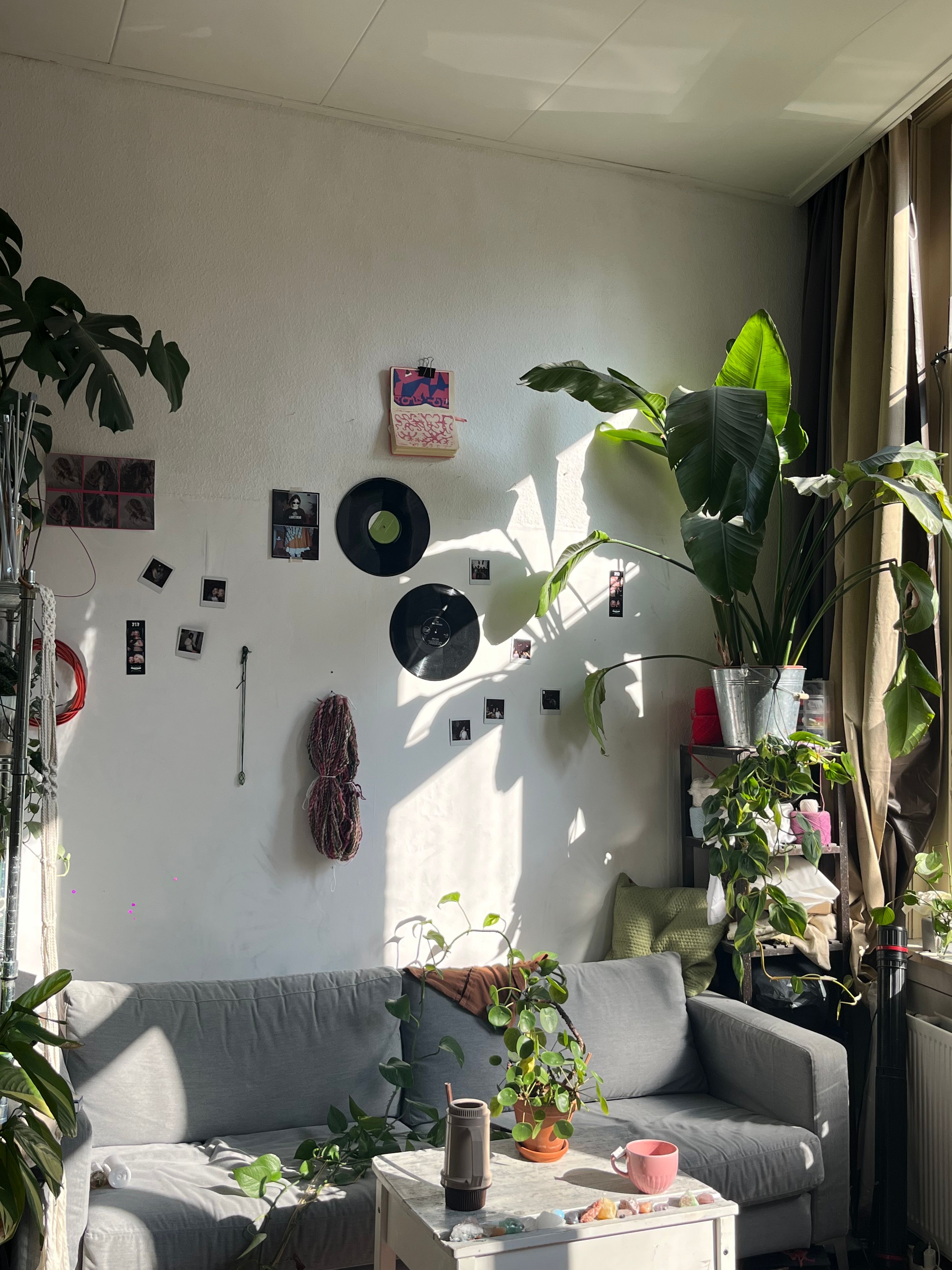 image-11
