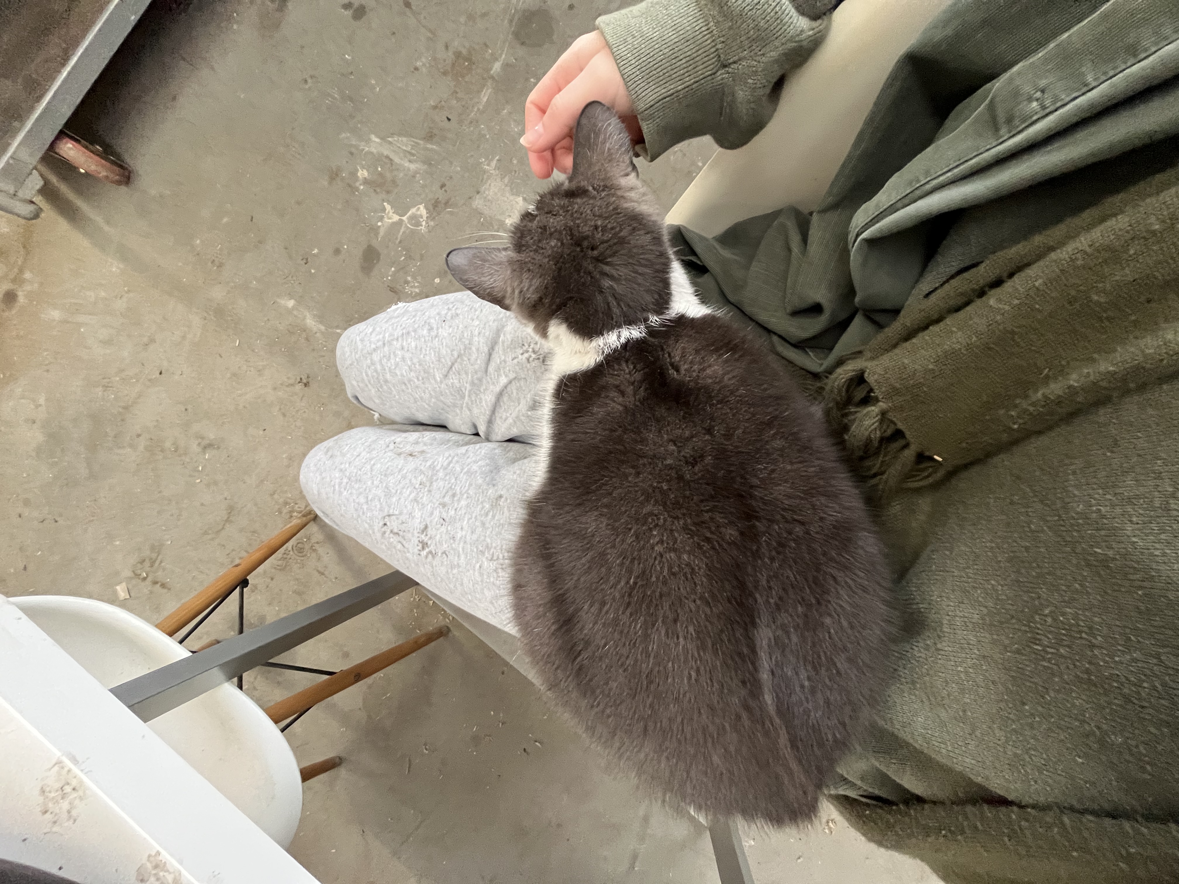 image-7