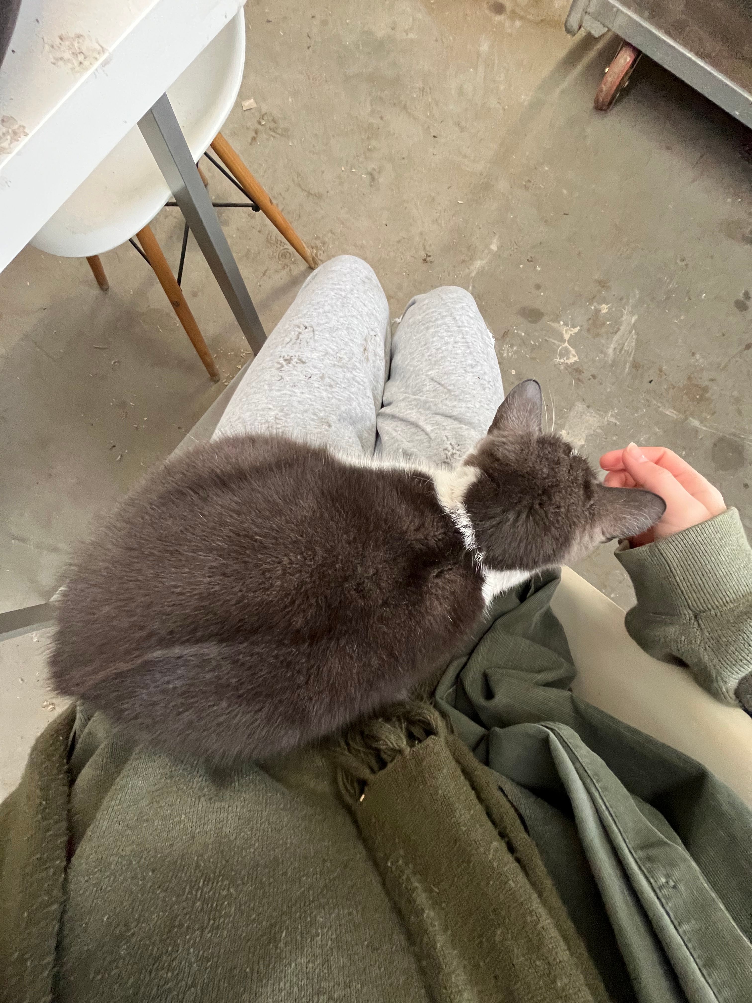 image-7