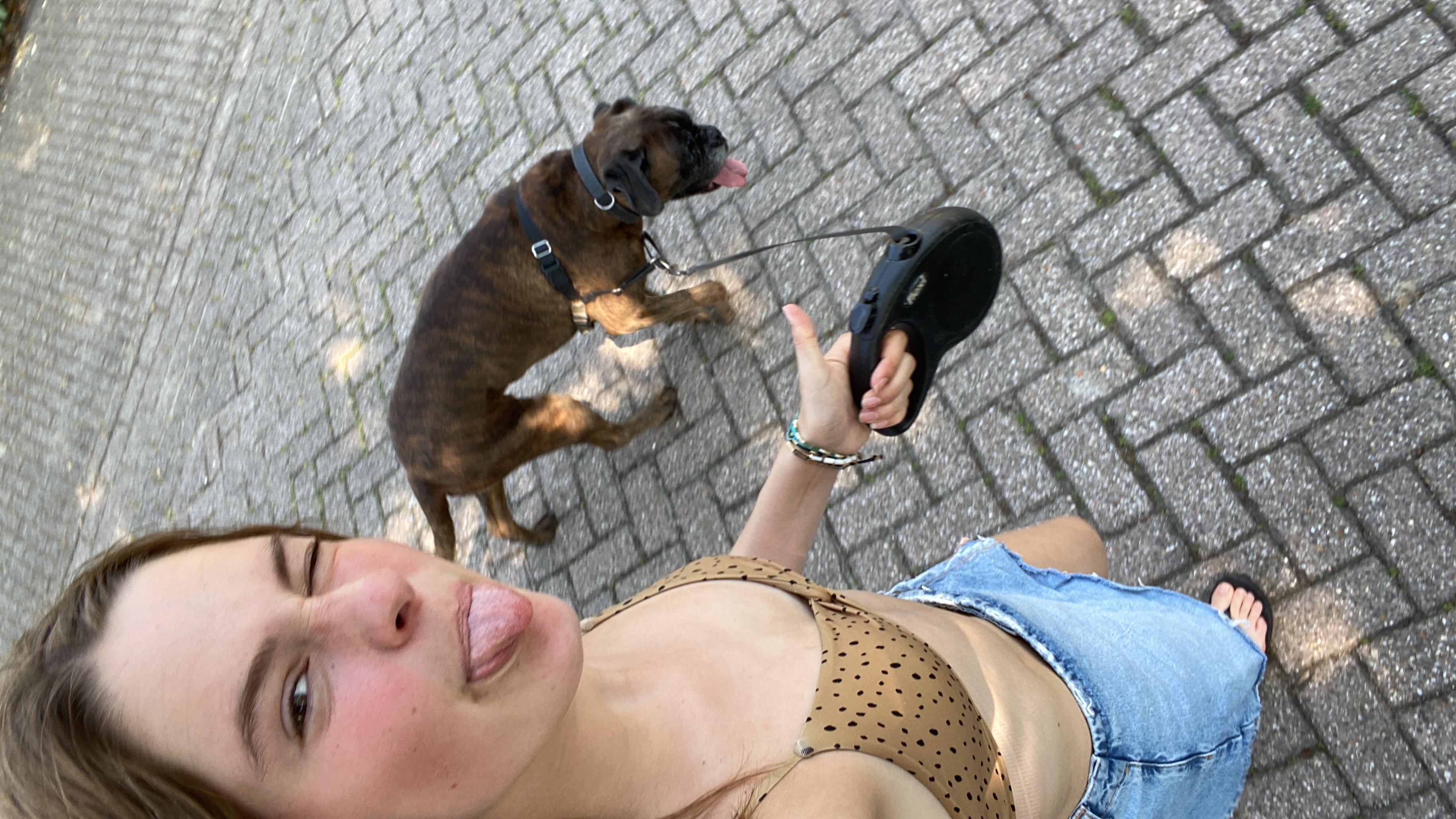 image-8