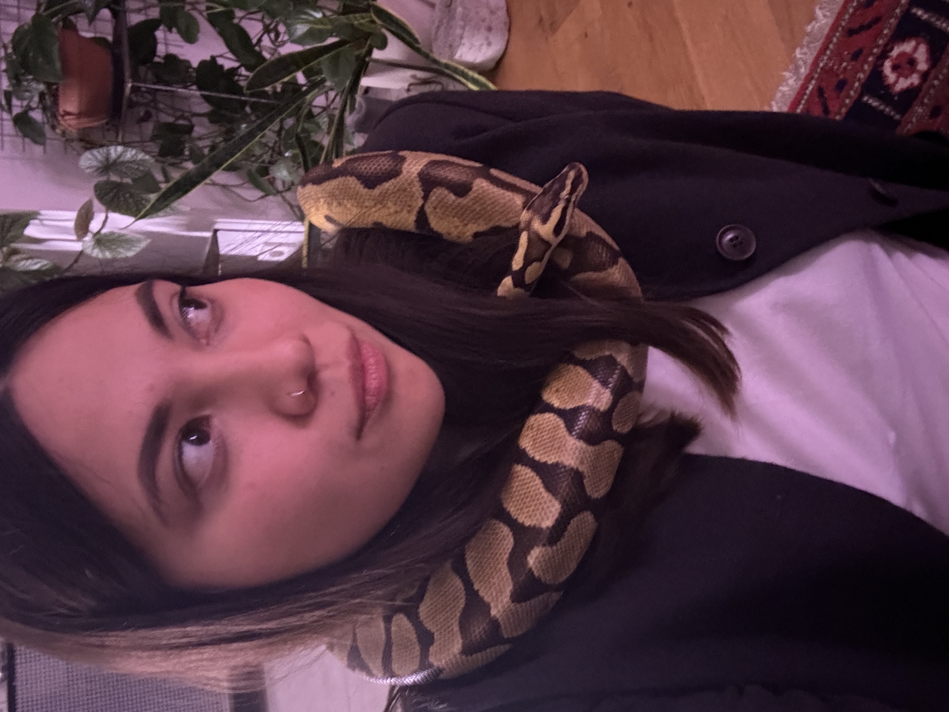 image-6