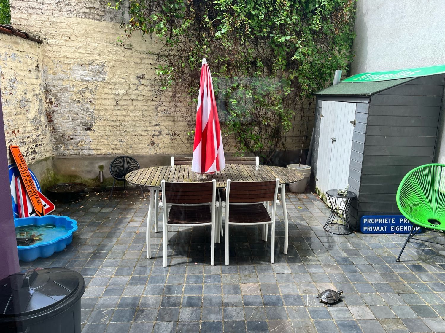 image-16
