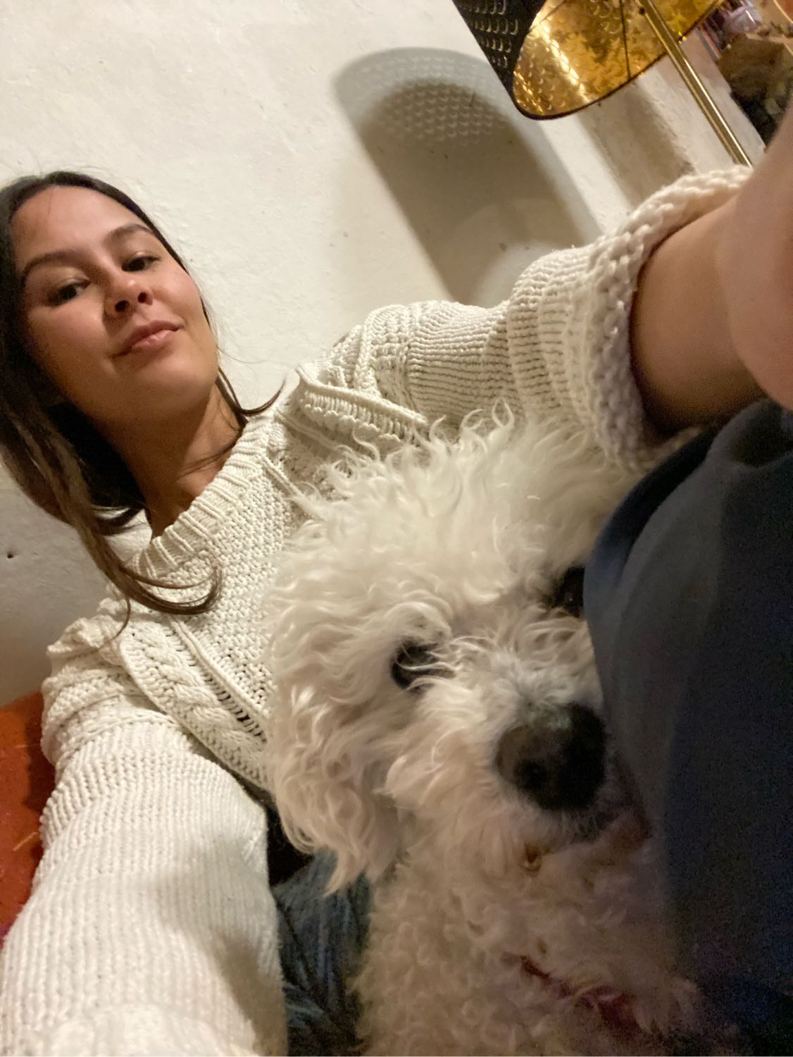image-6