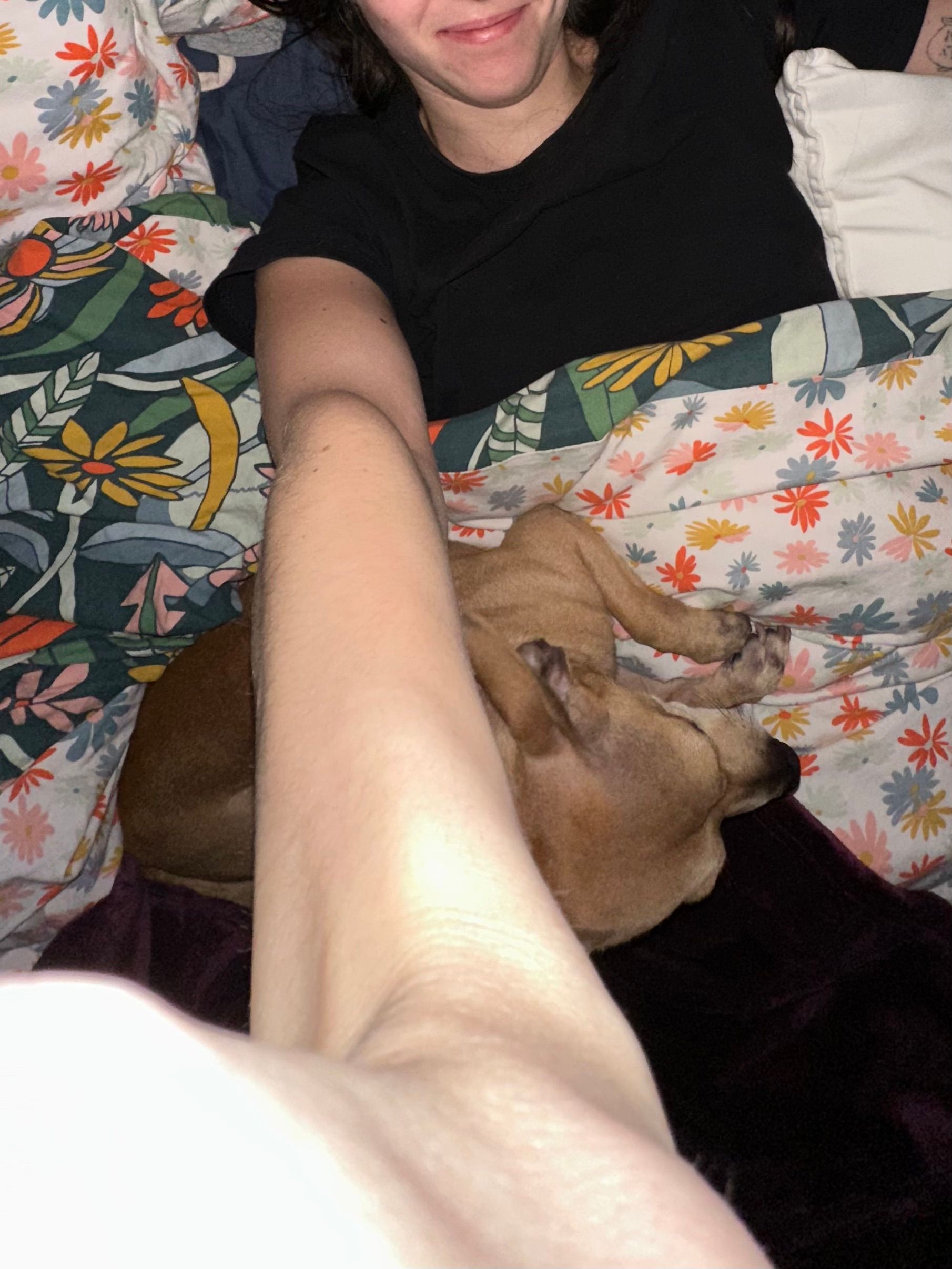 image-8
