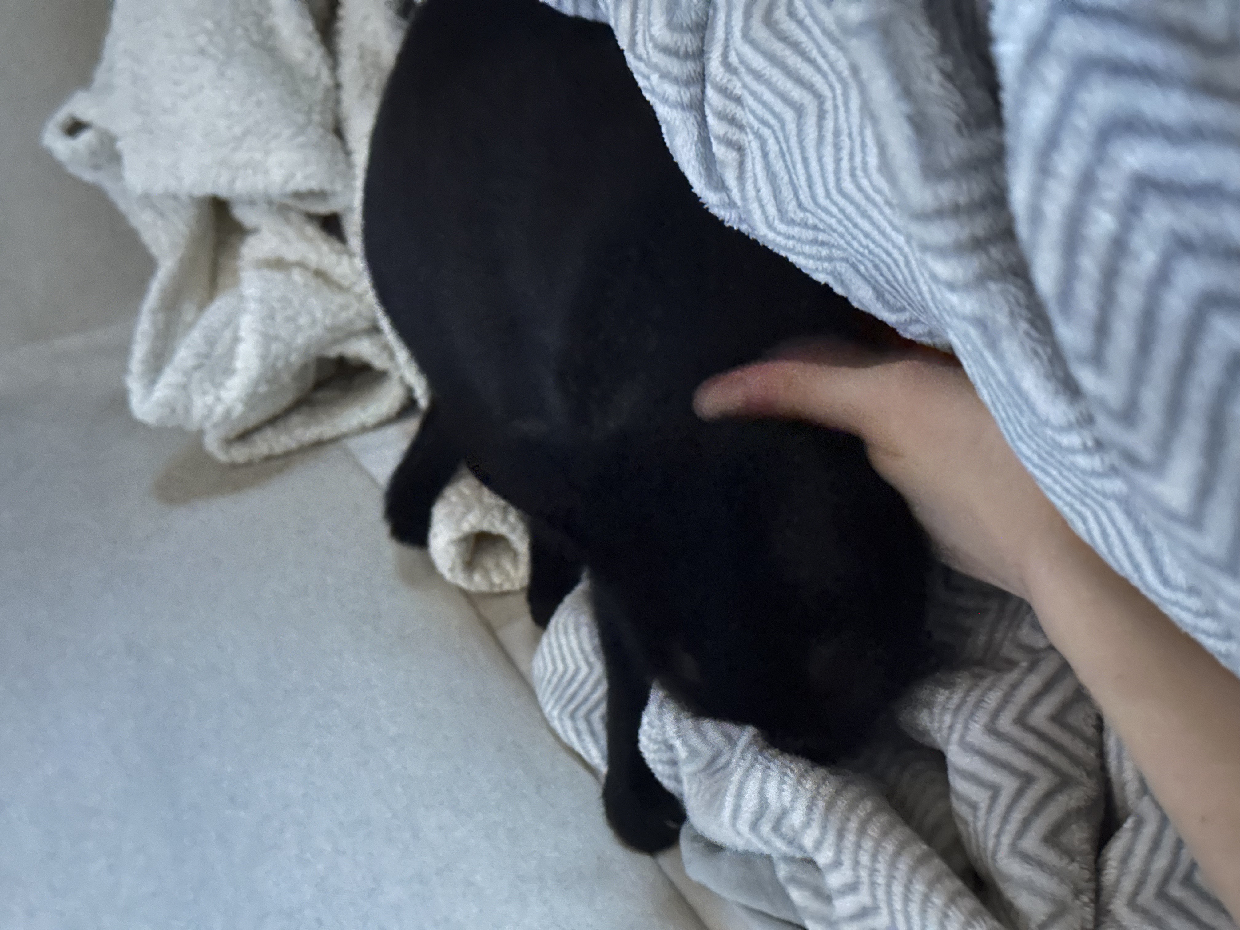 image-15