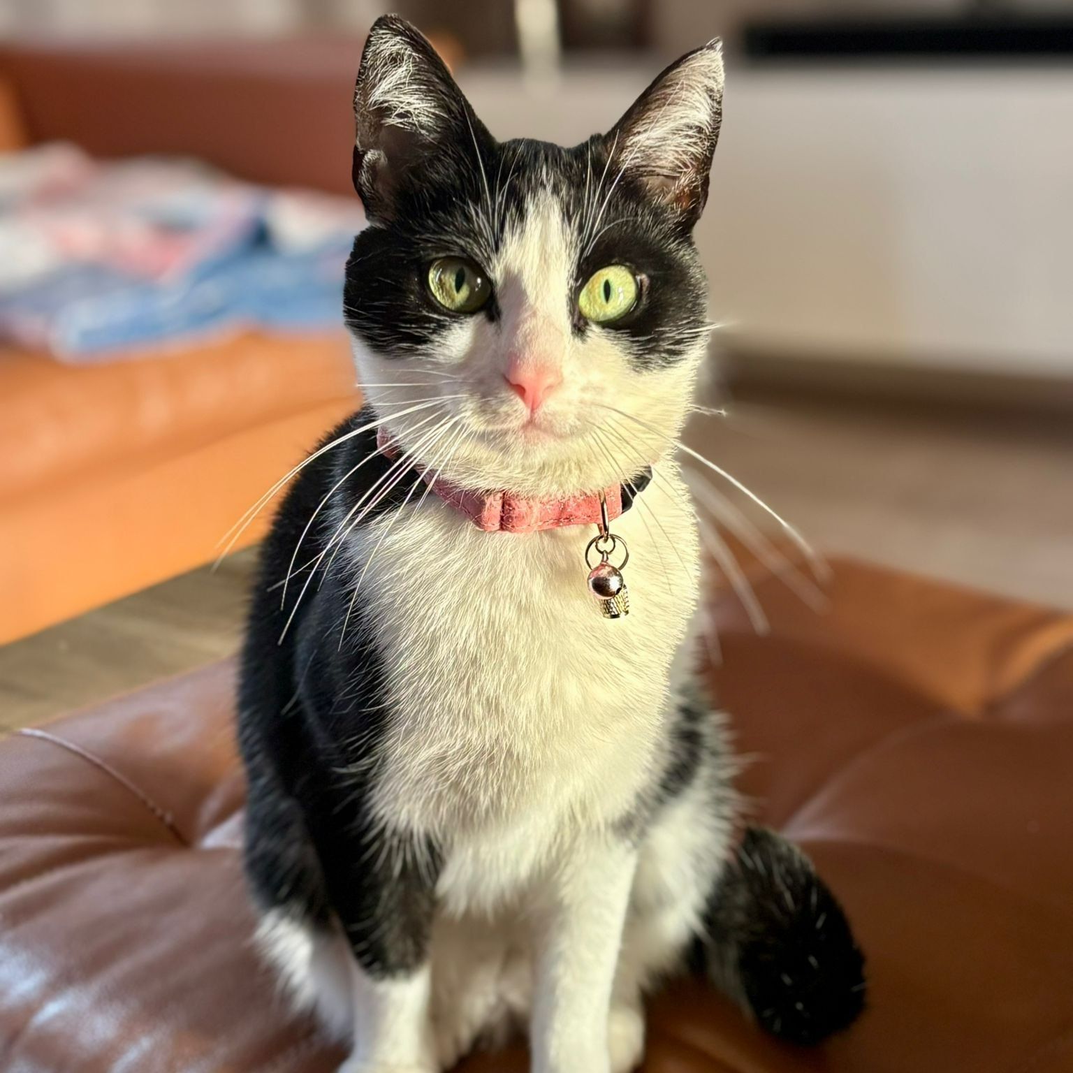 Missy