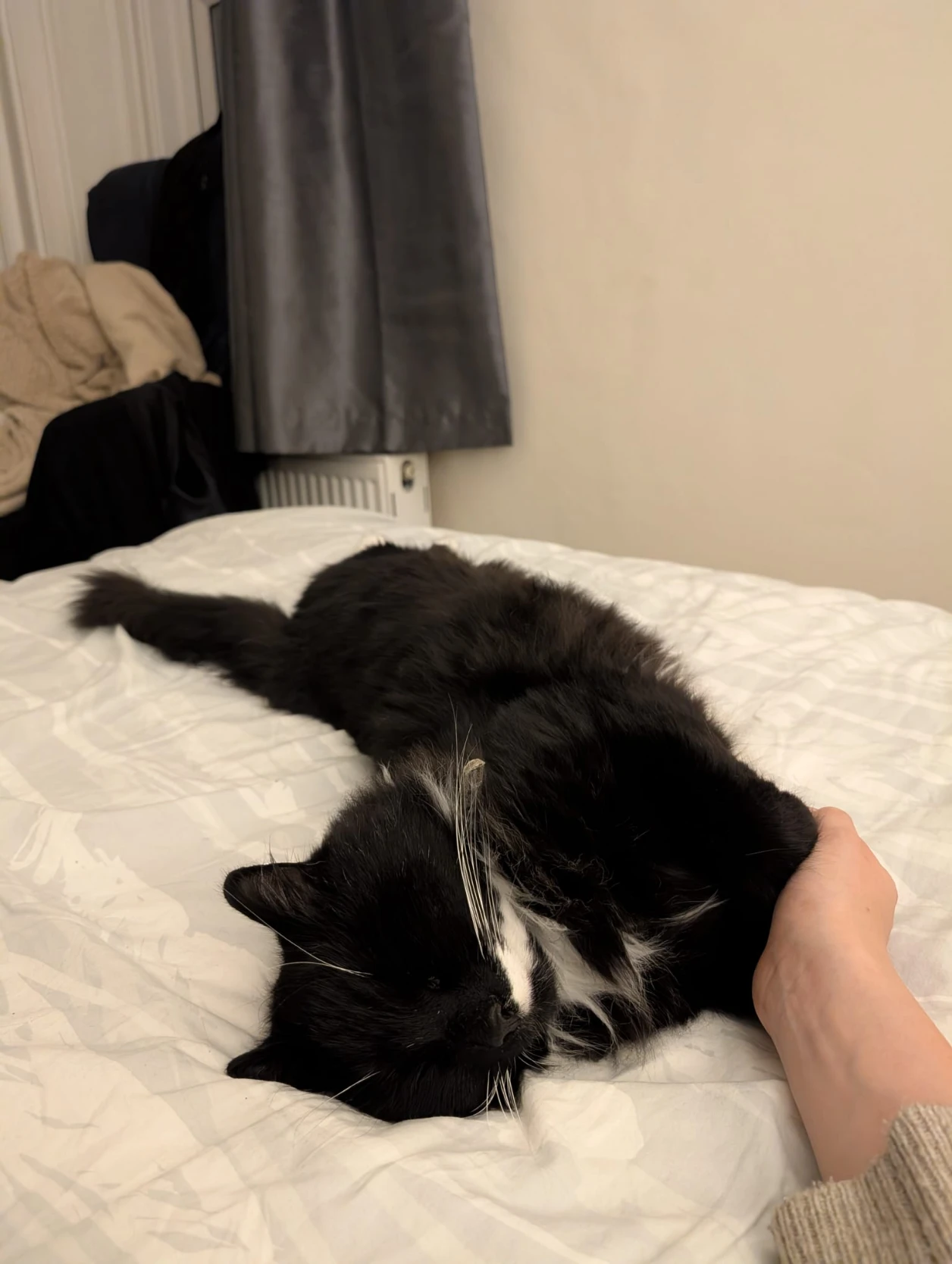 image-6