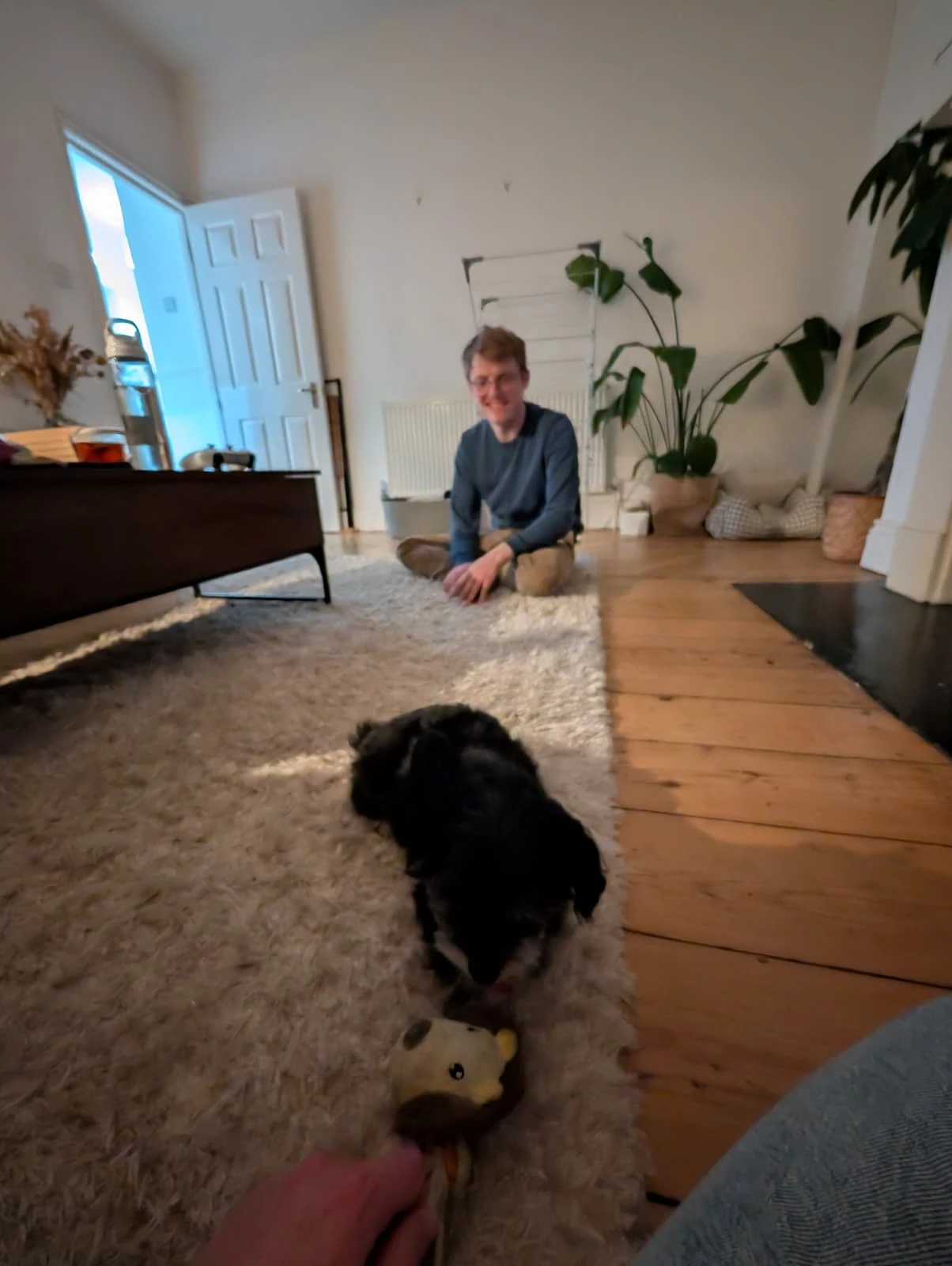 image-13