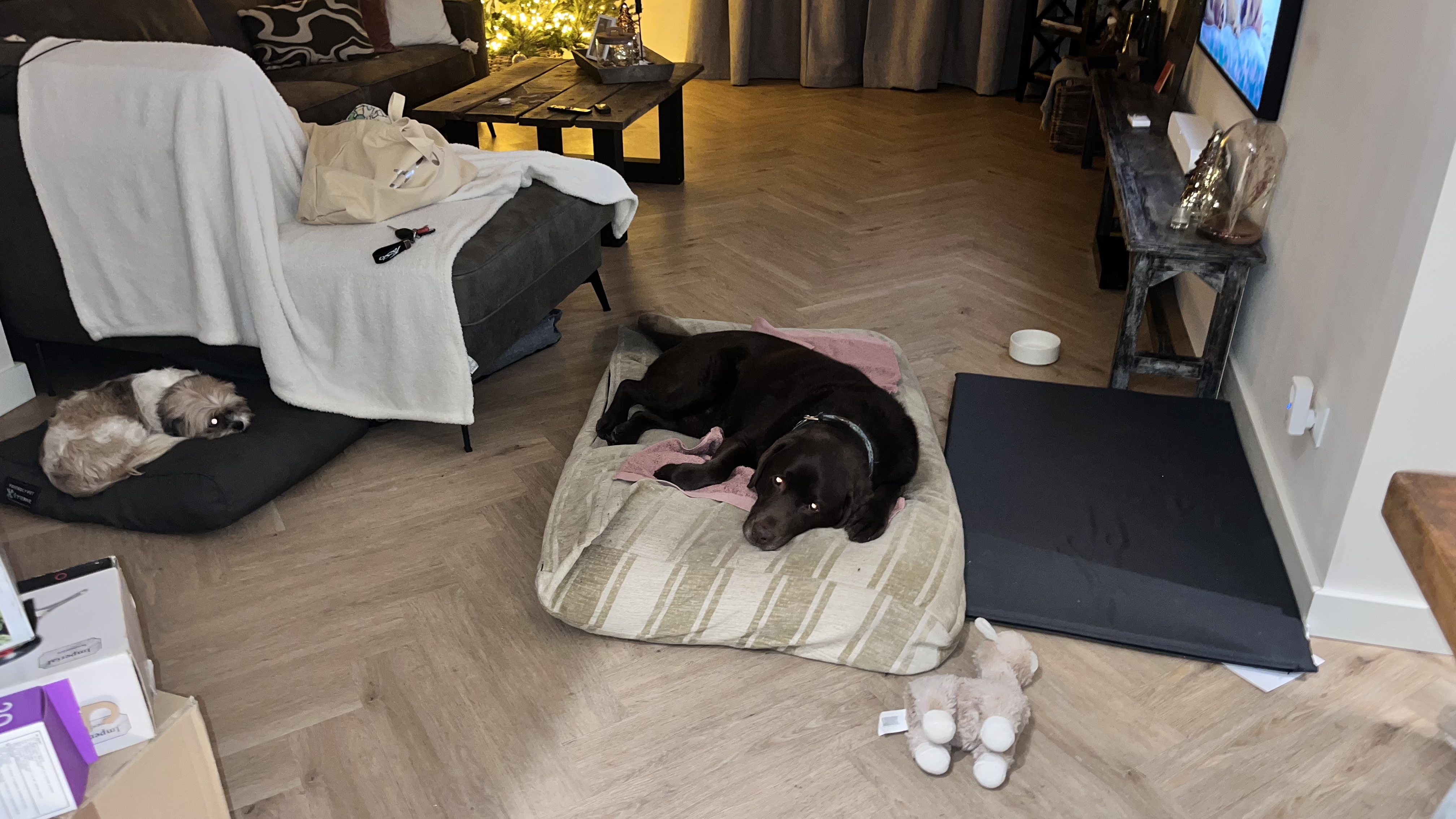 image-12