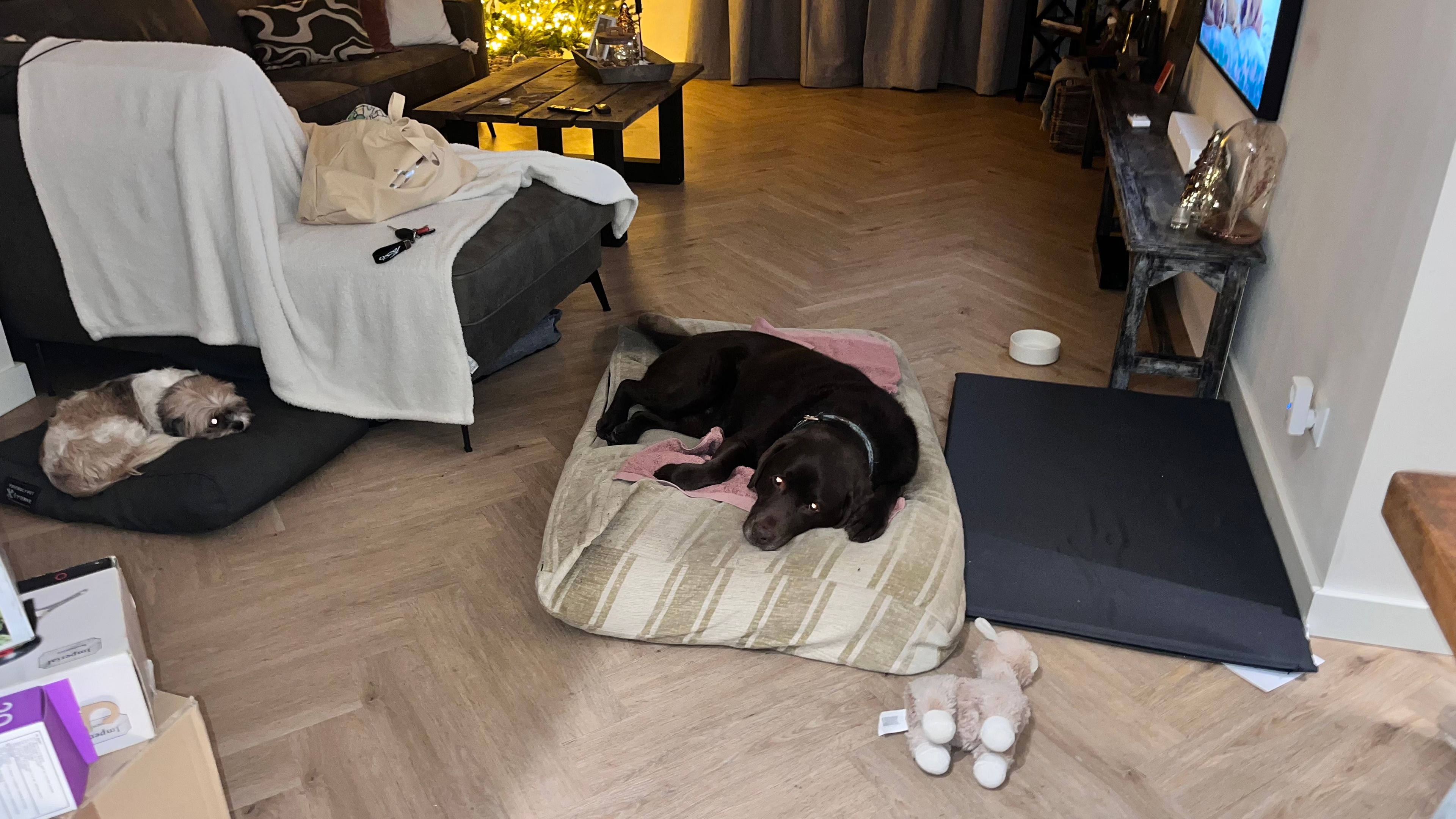 image-12