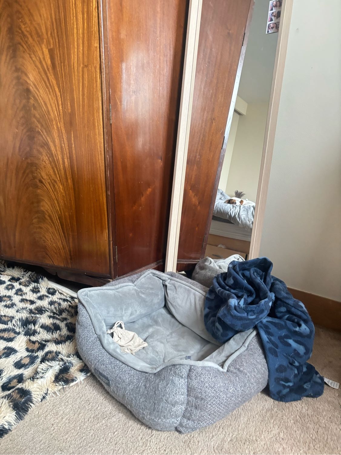 image-19
