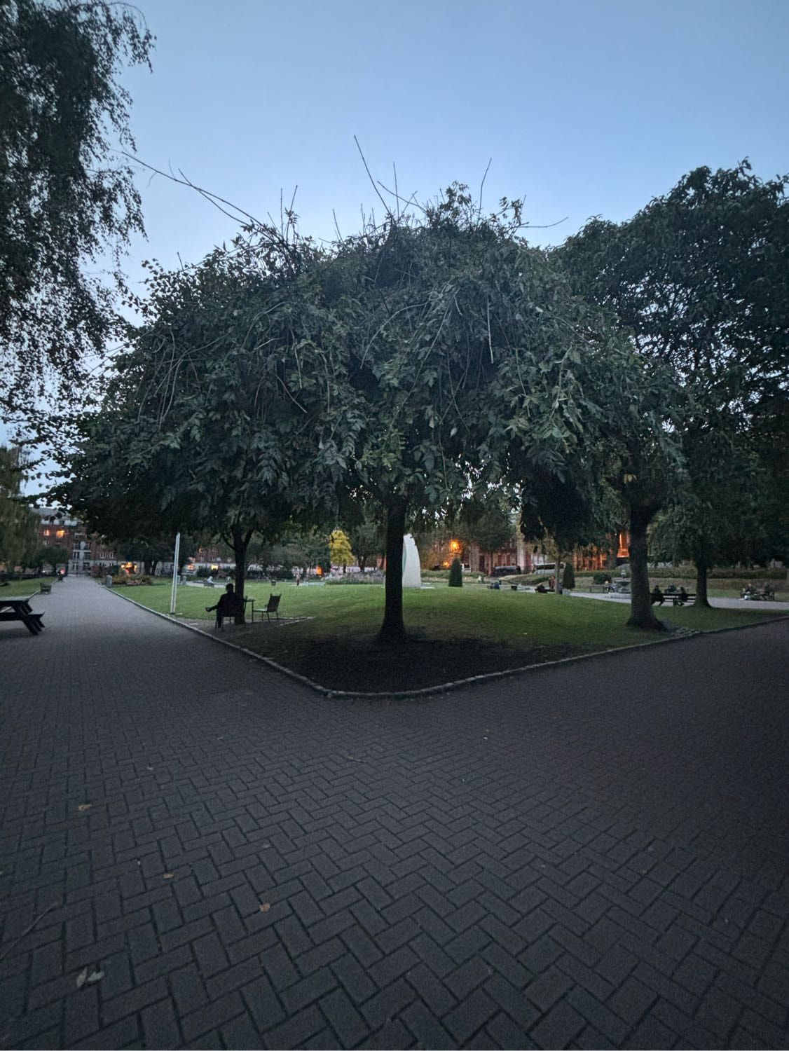 image-10
