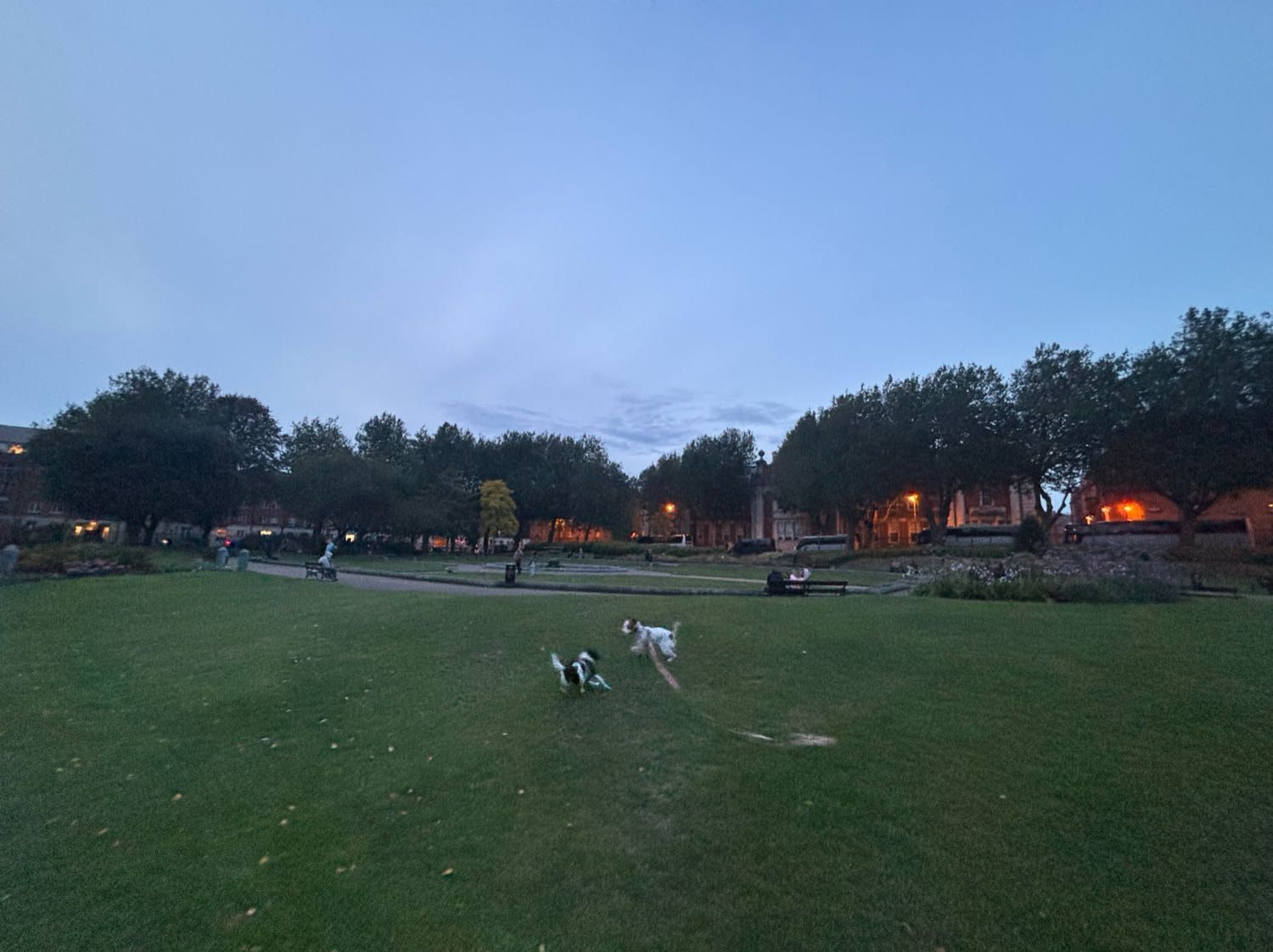 image-9