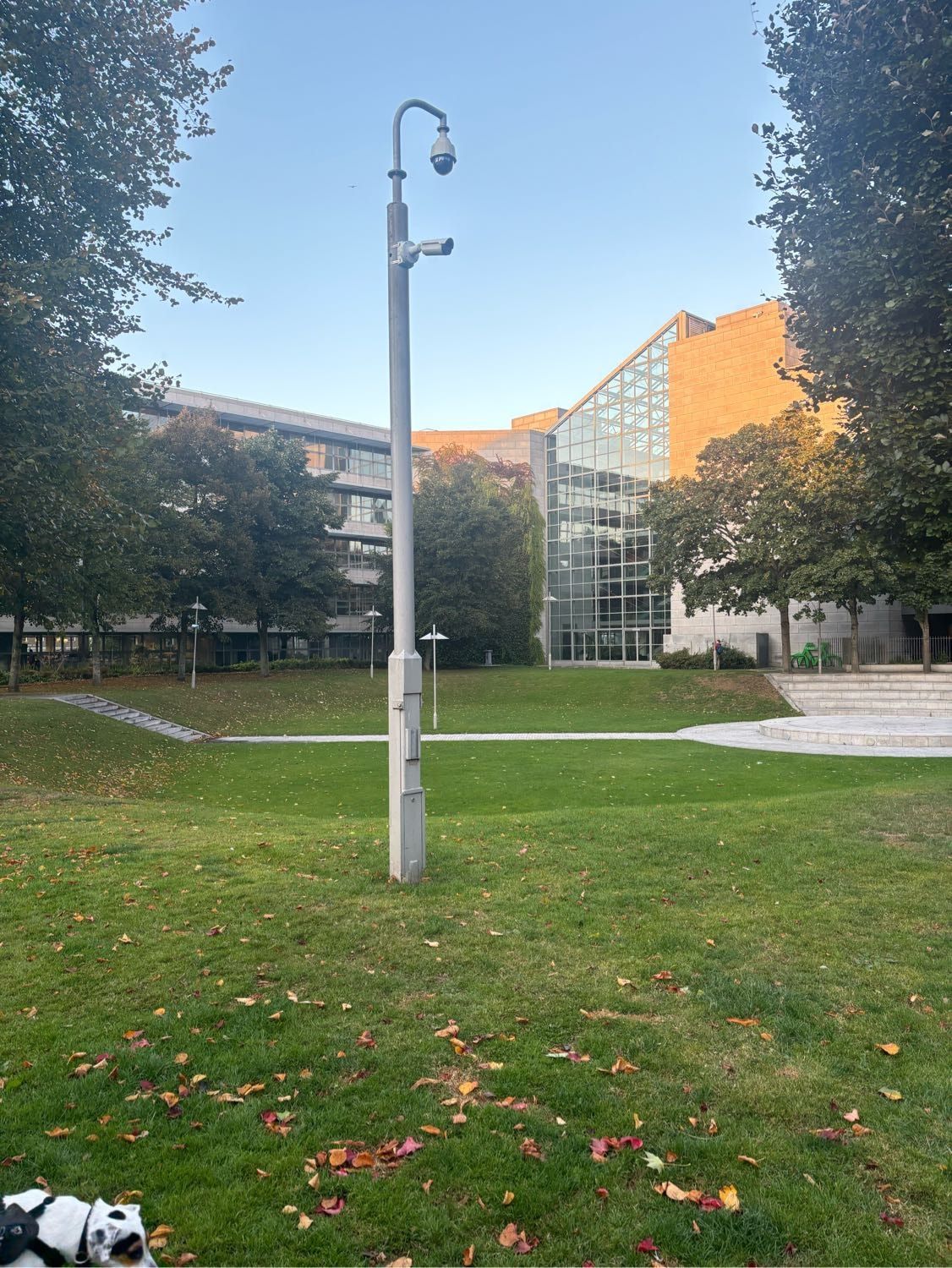 image-13