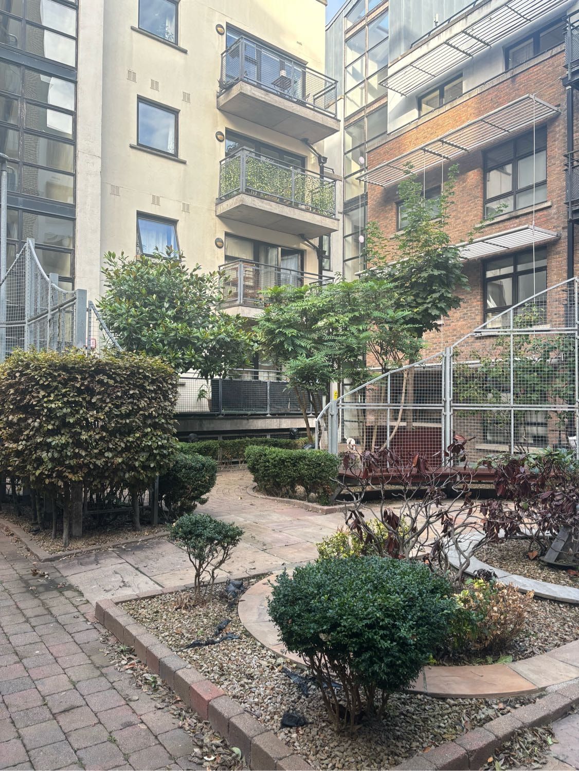 image-11